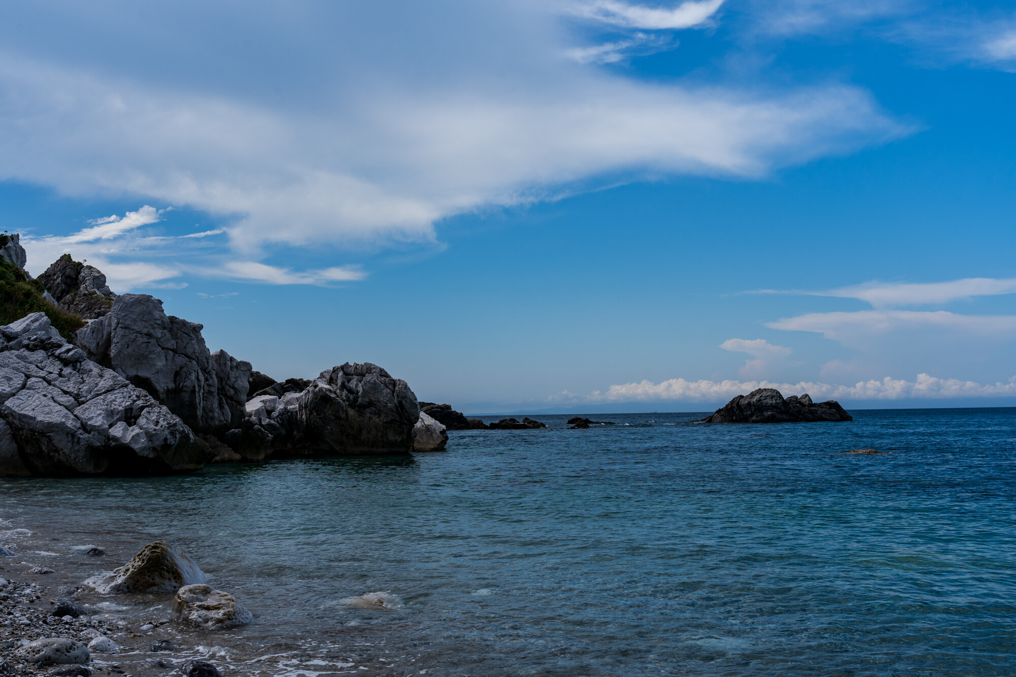 上野町のひまわり園のはずが和歌山
