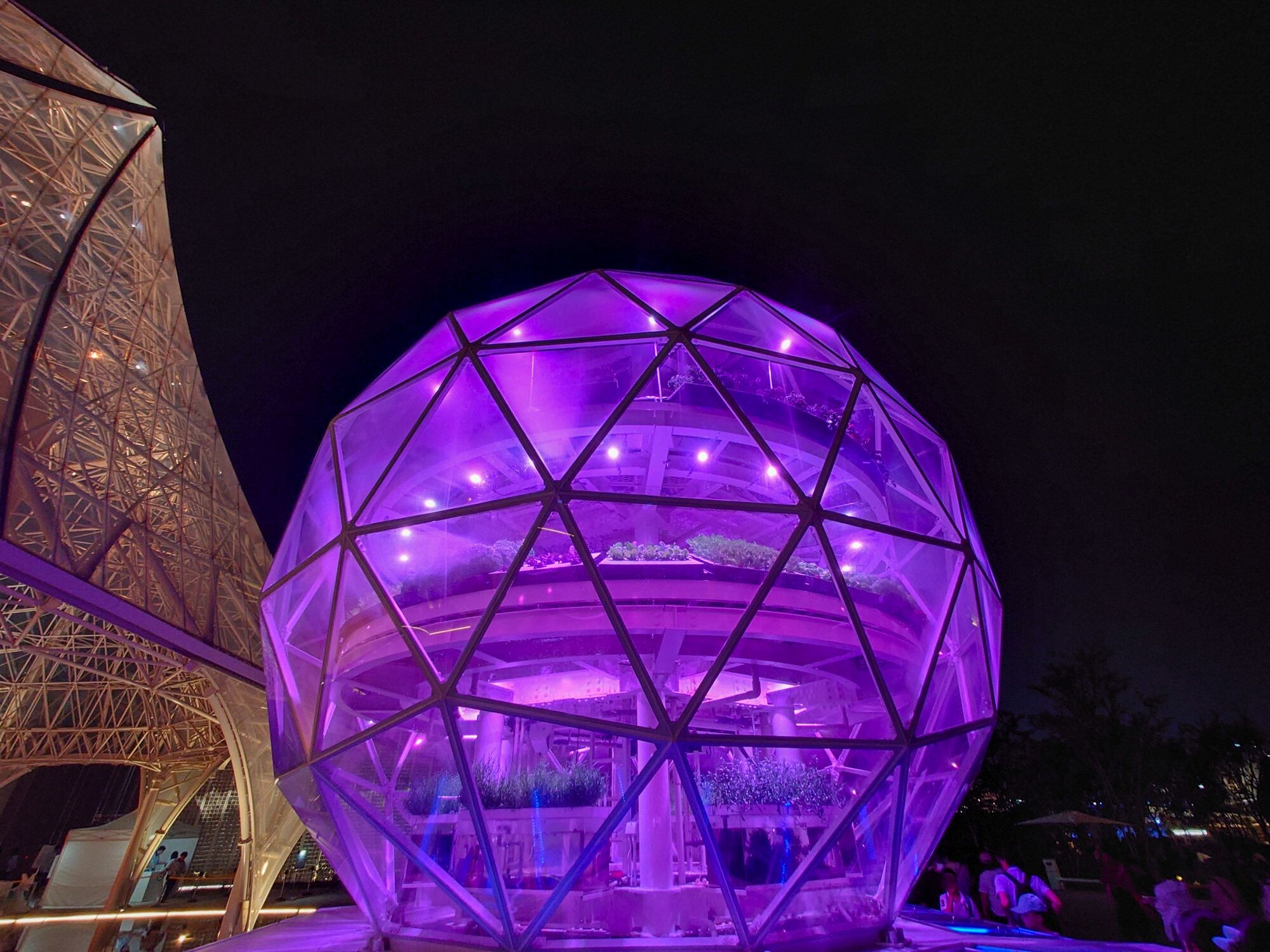 仕事帰りにちょっと万博へ