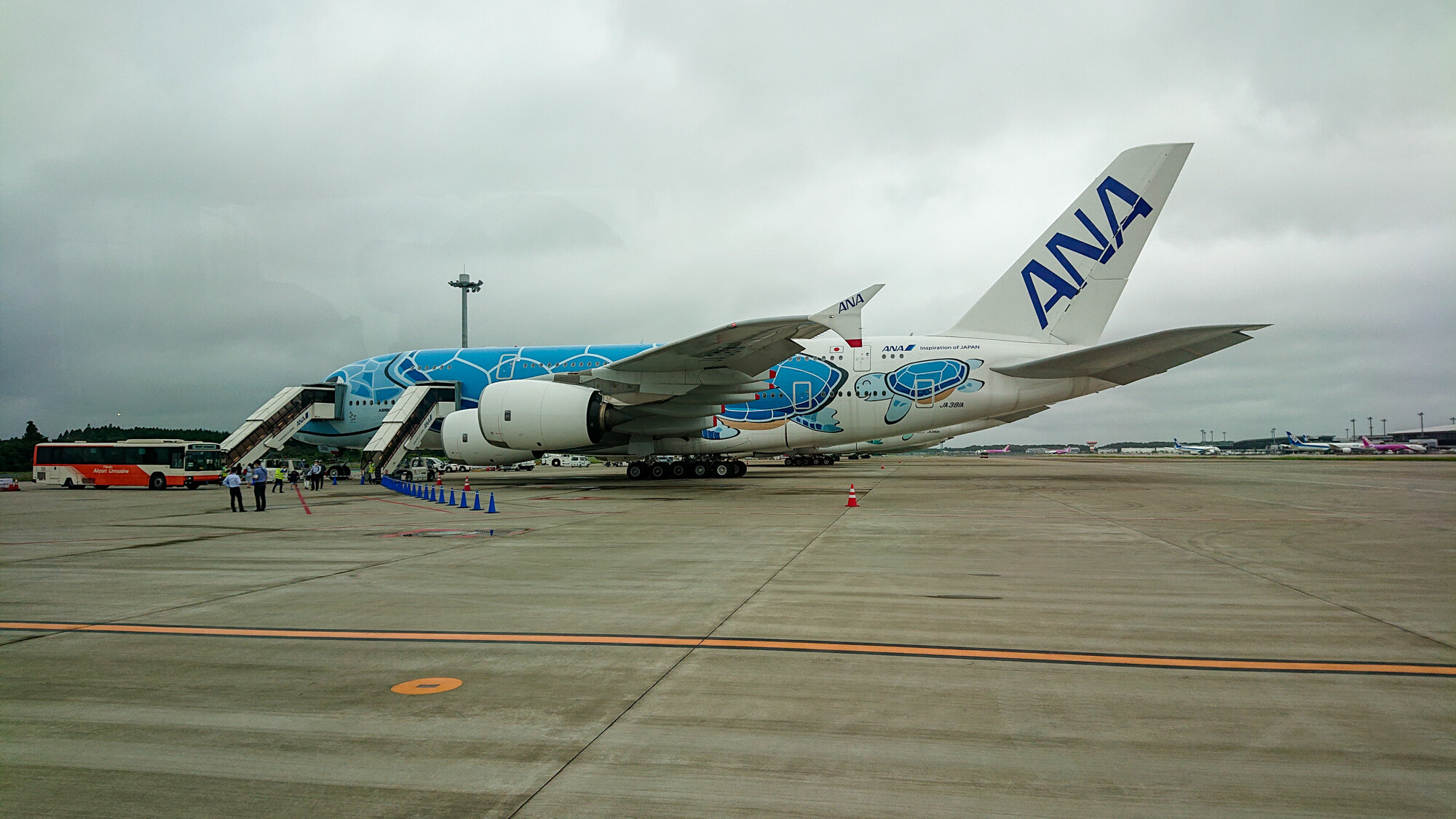 ANA FLYING HONUチャーターフライト