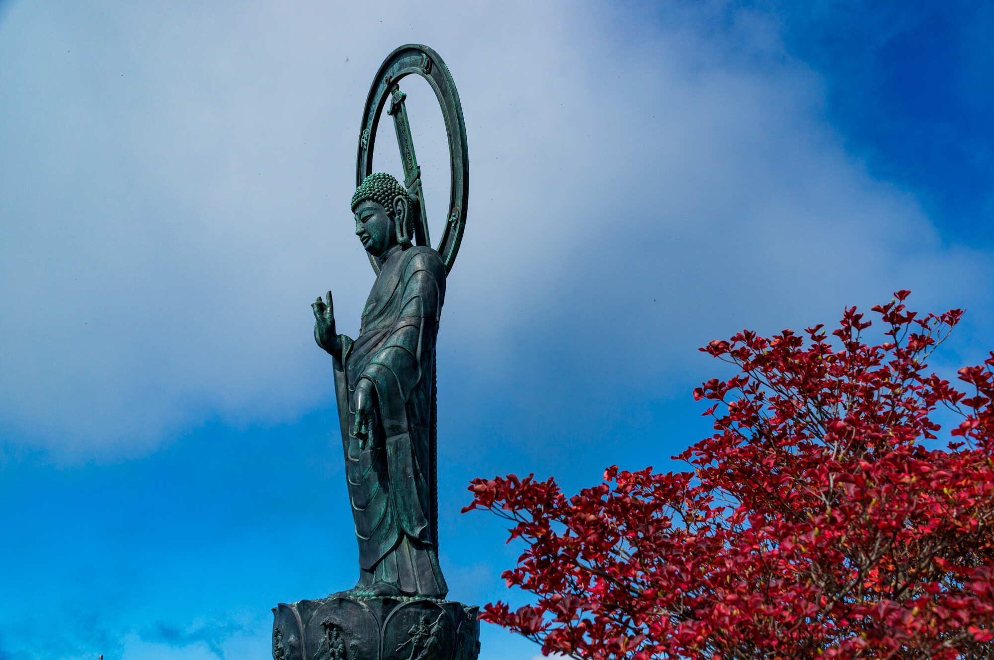 11か月ぶりの釈迦ヶ岳登山