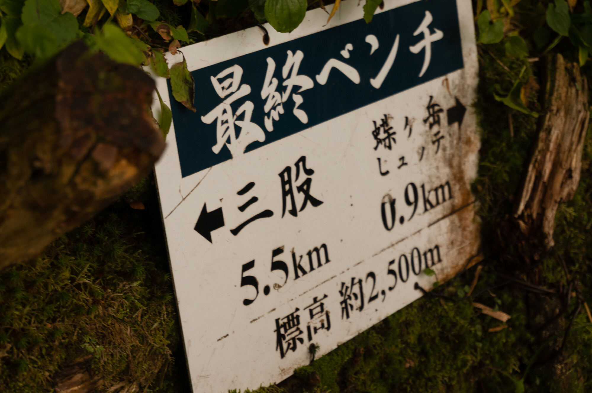 DSC05135