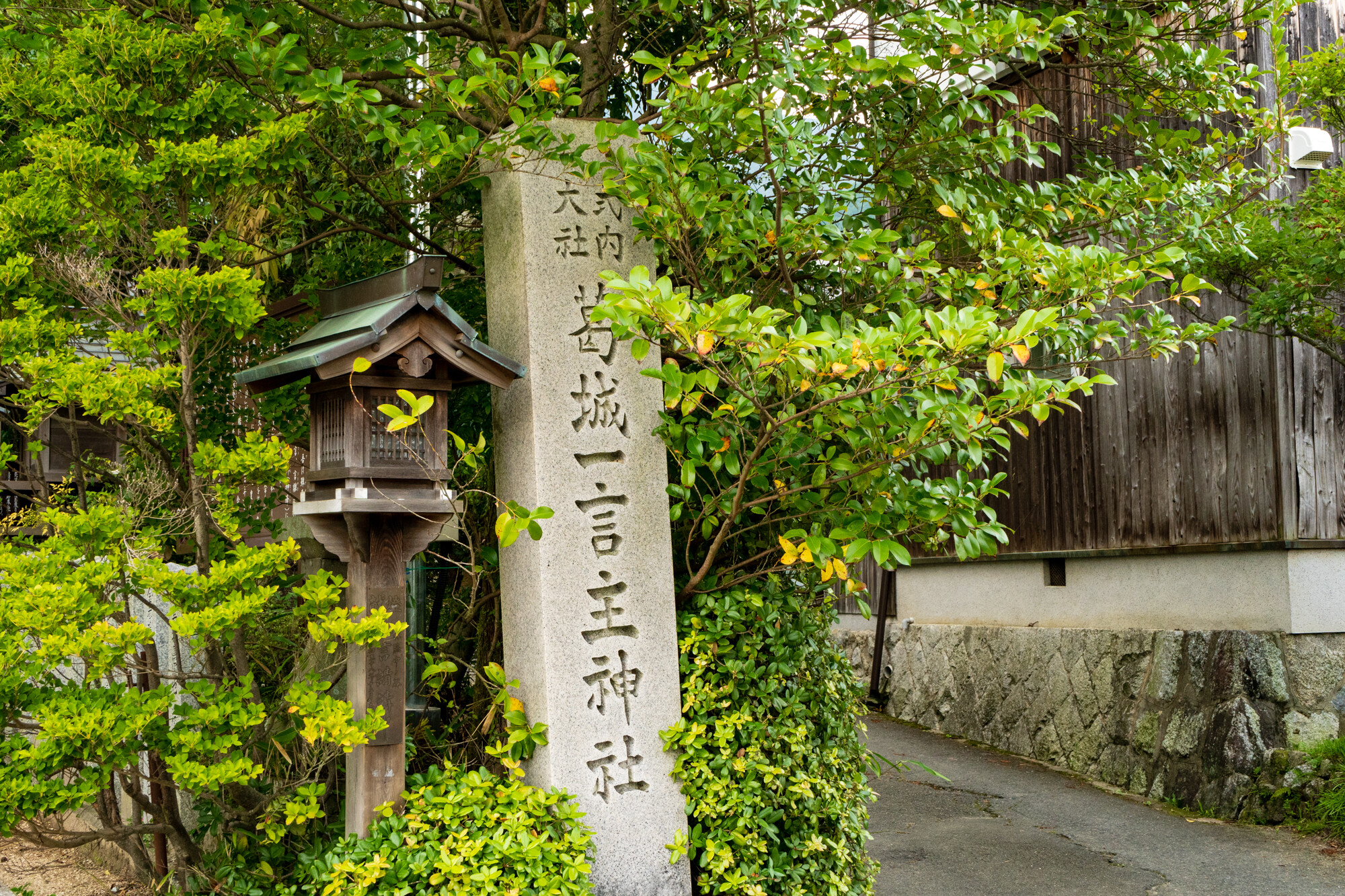 葛城の彼岸花【2018】