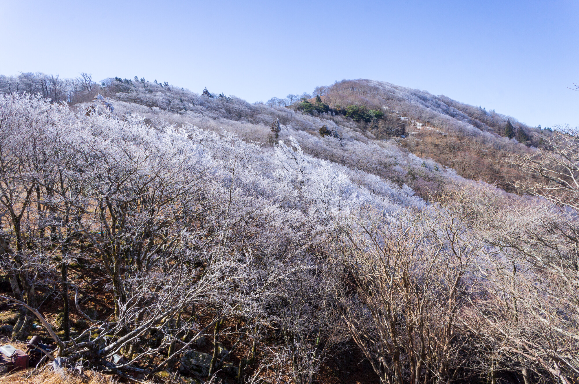 冬と春を探して明神平・桧塚奥峰登山