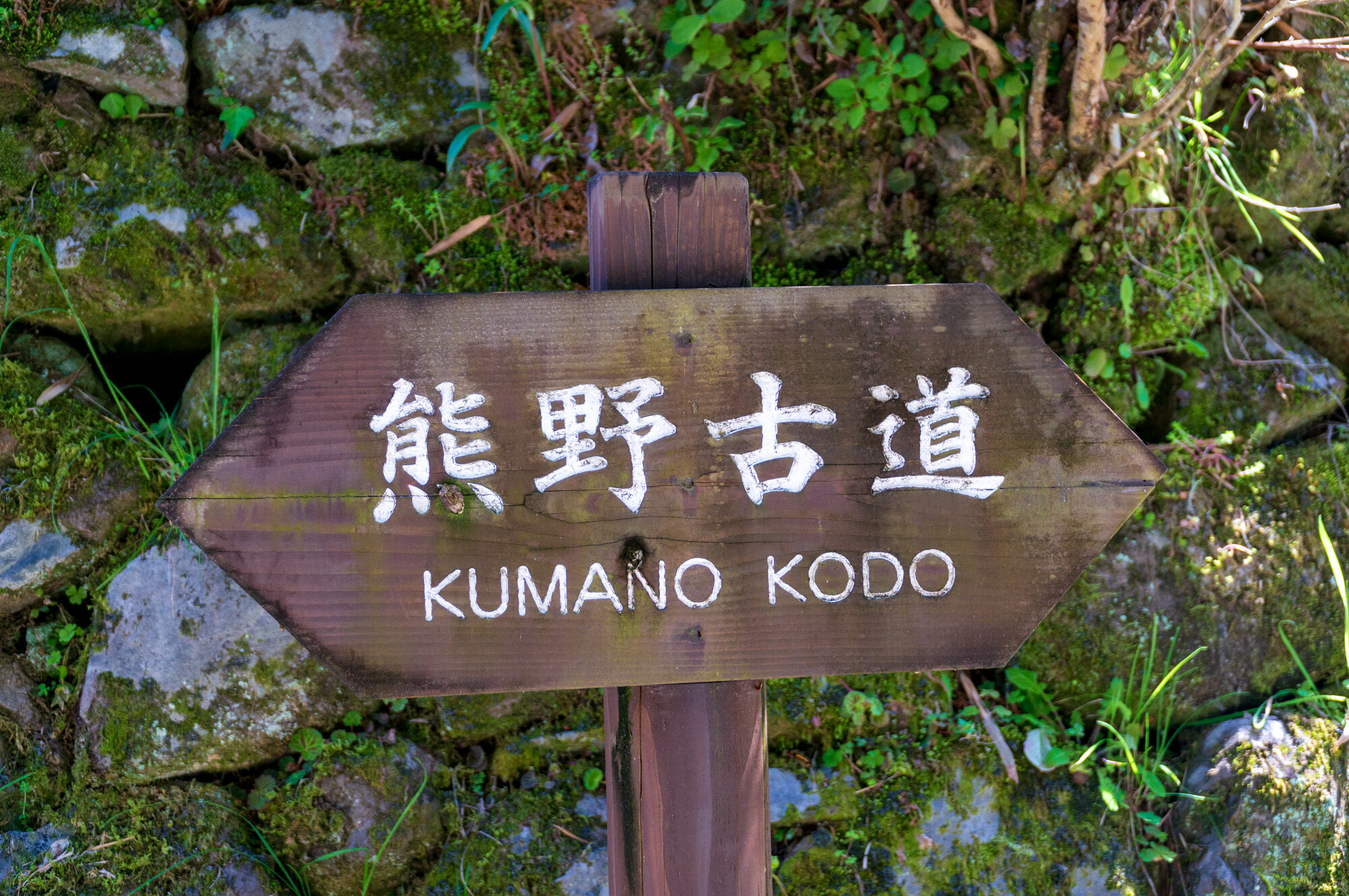 熊野古道 小雲取越