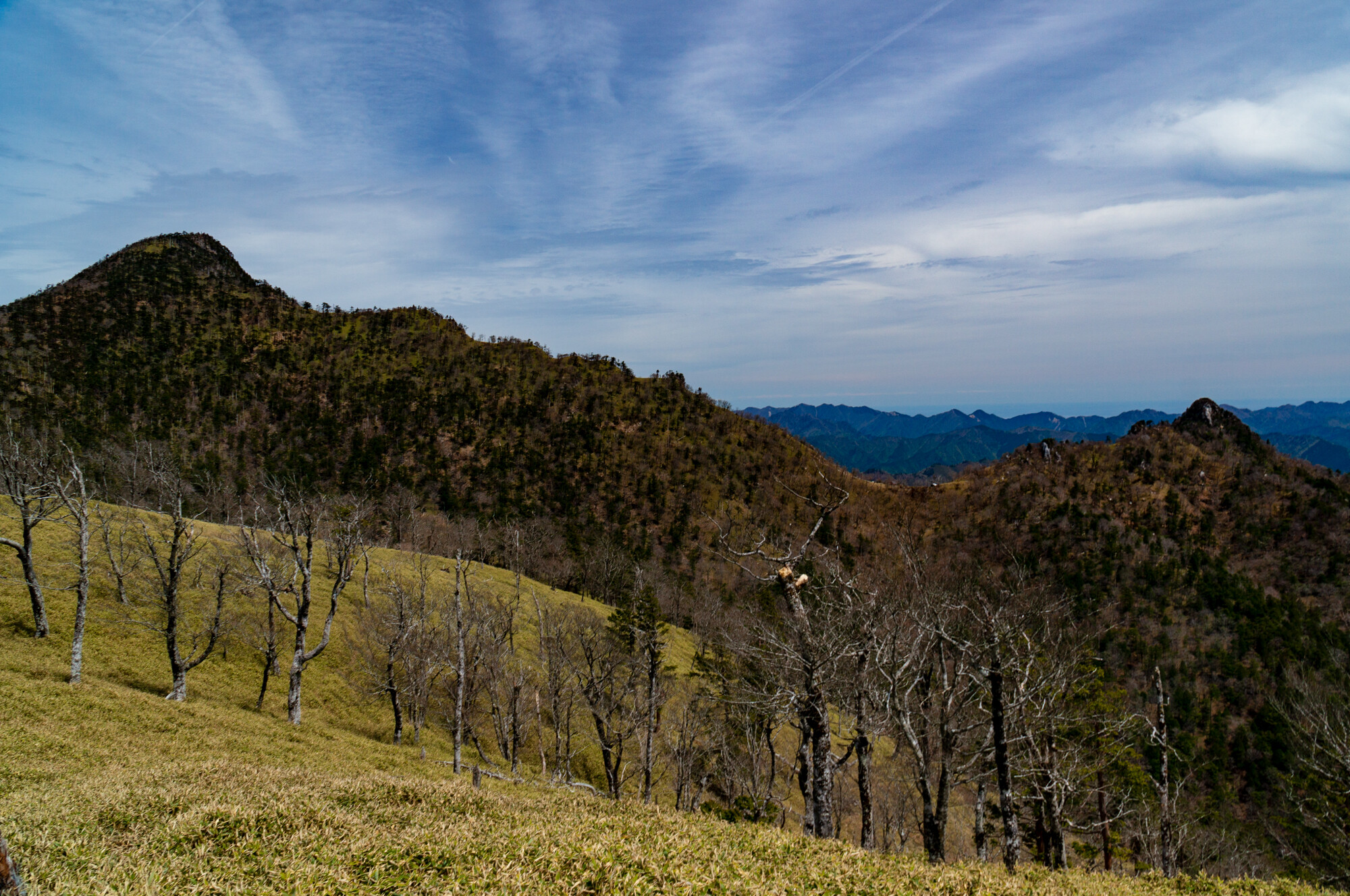 DSC09866
