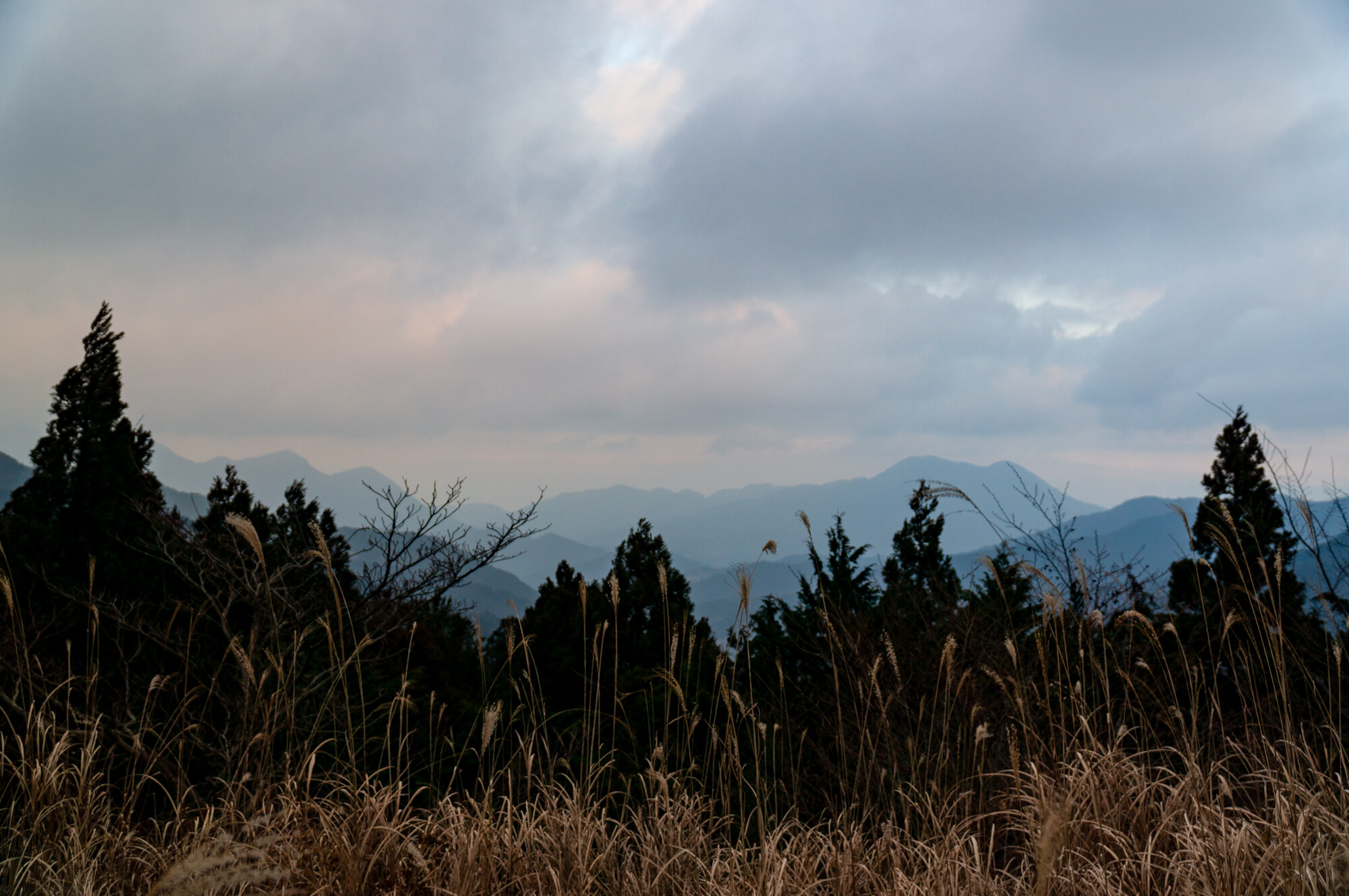 DSC00250