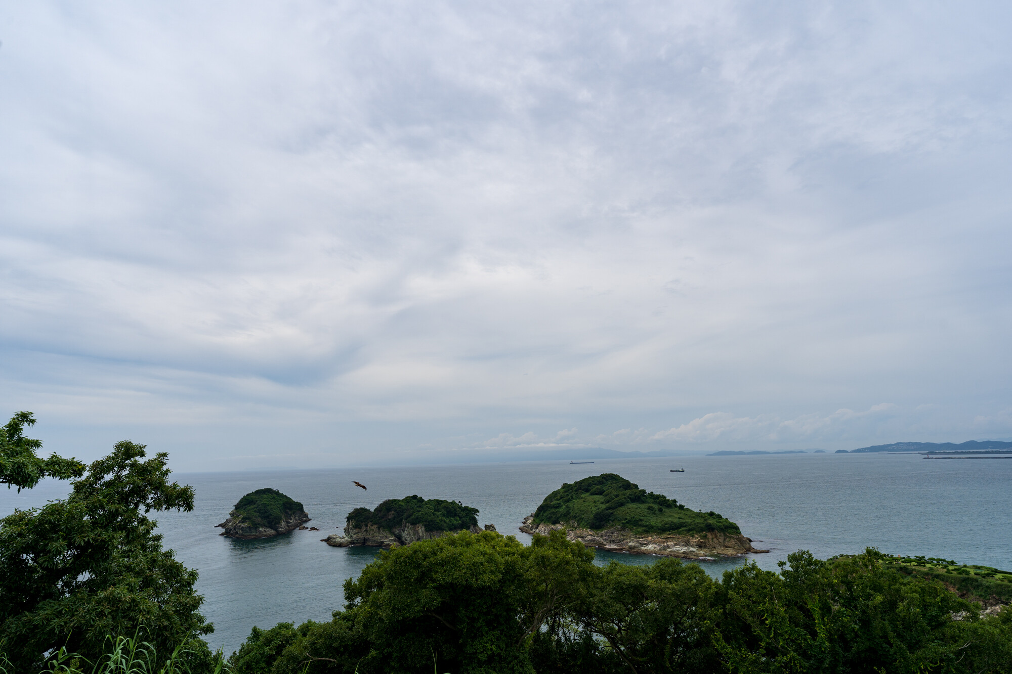 タンシチューと和歌山観光