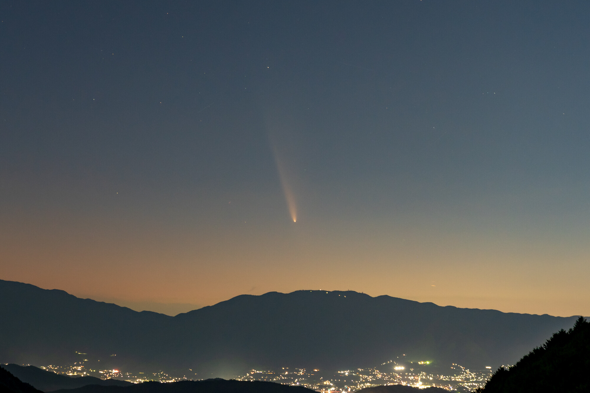紫金山・アトラス彗星観察