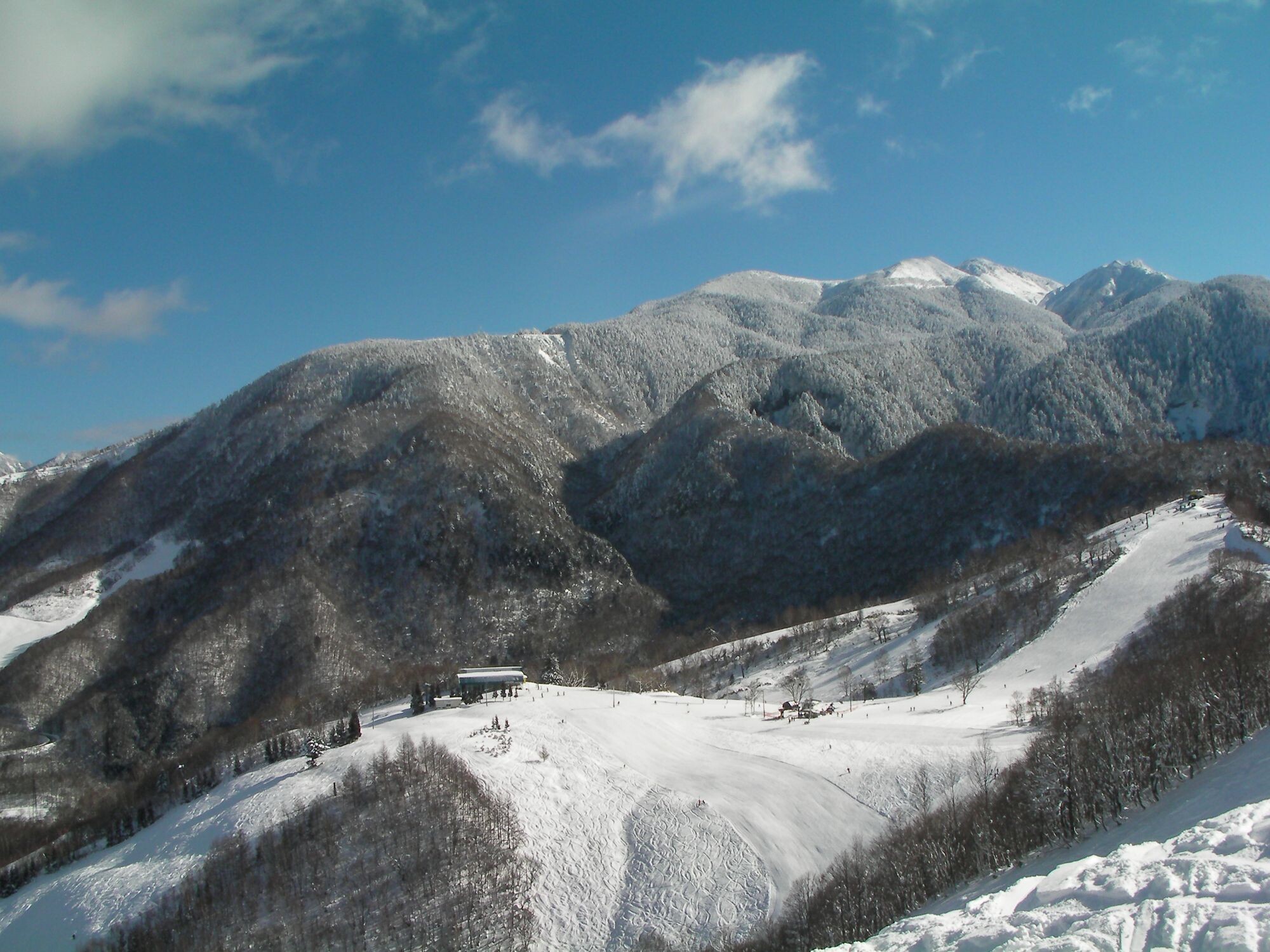ほおのき平でスキー