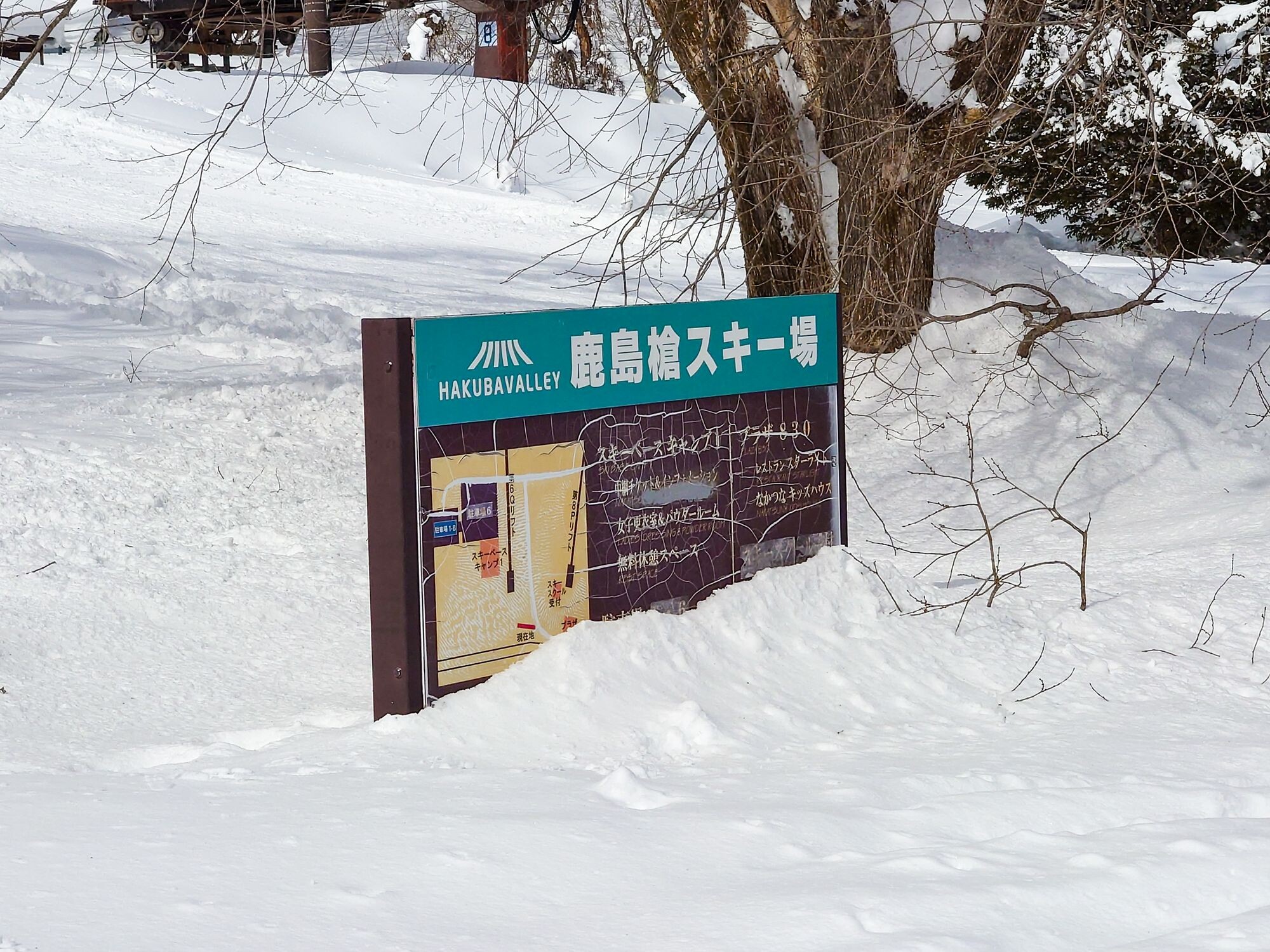 長野スキーツアー2025【3日目】