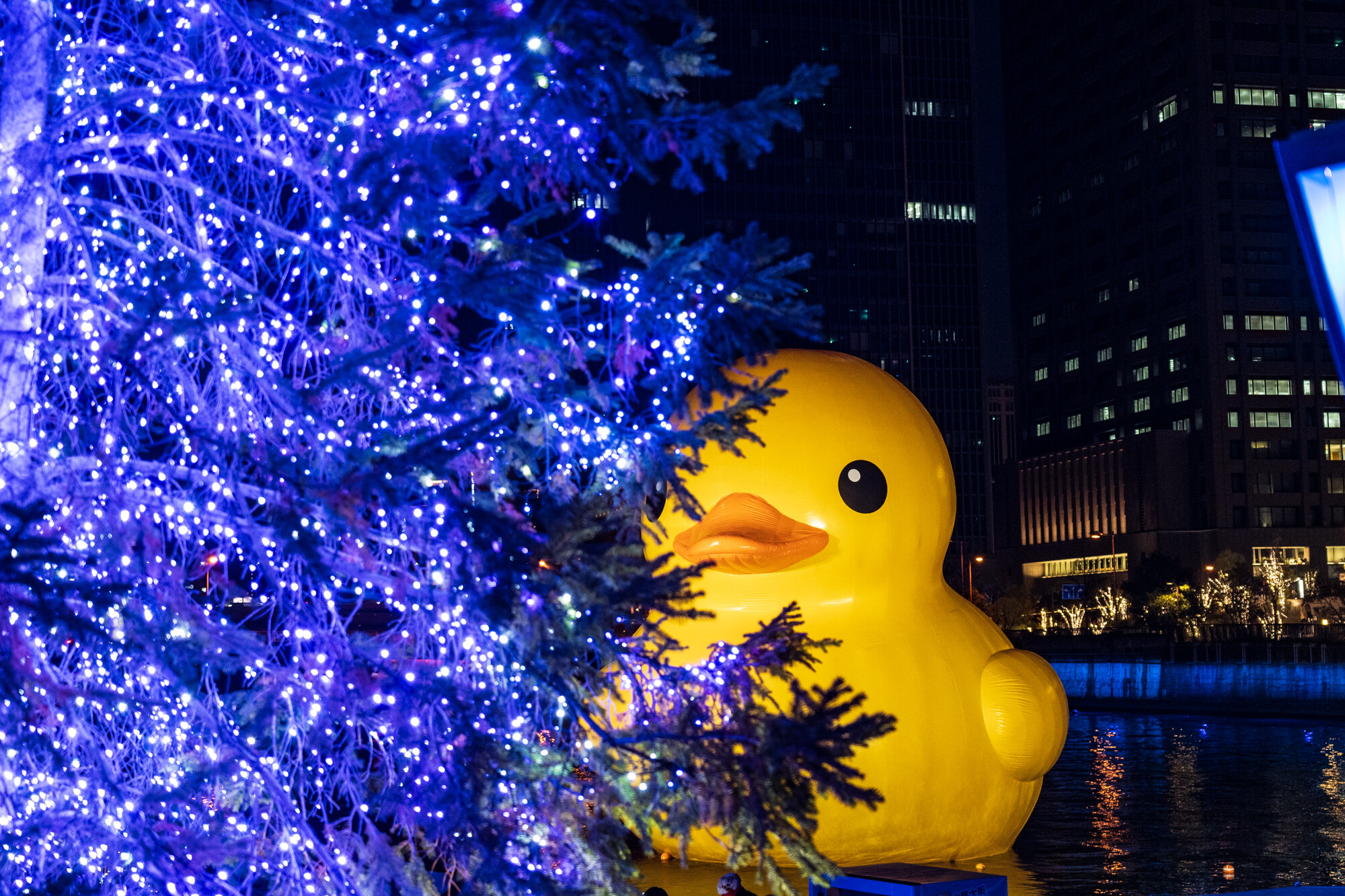 ラバー・ダック＆中之島ウォーターファンタジア2023