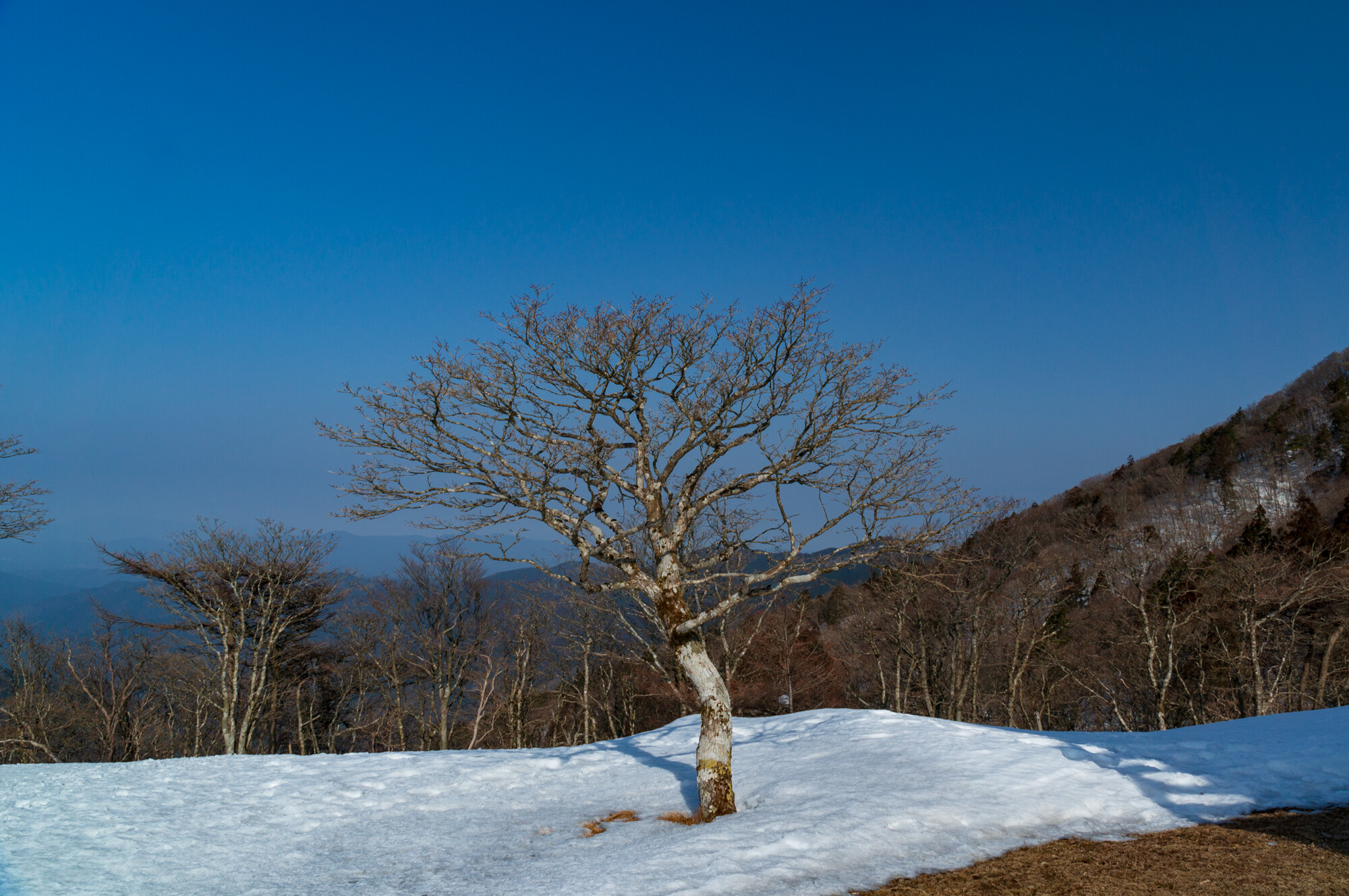 残雪期の明神平登山