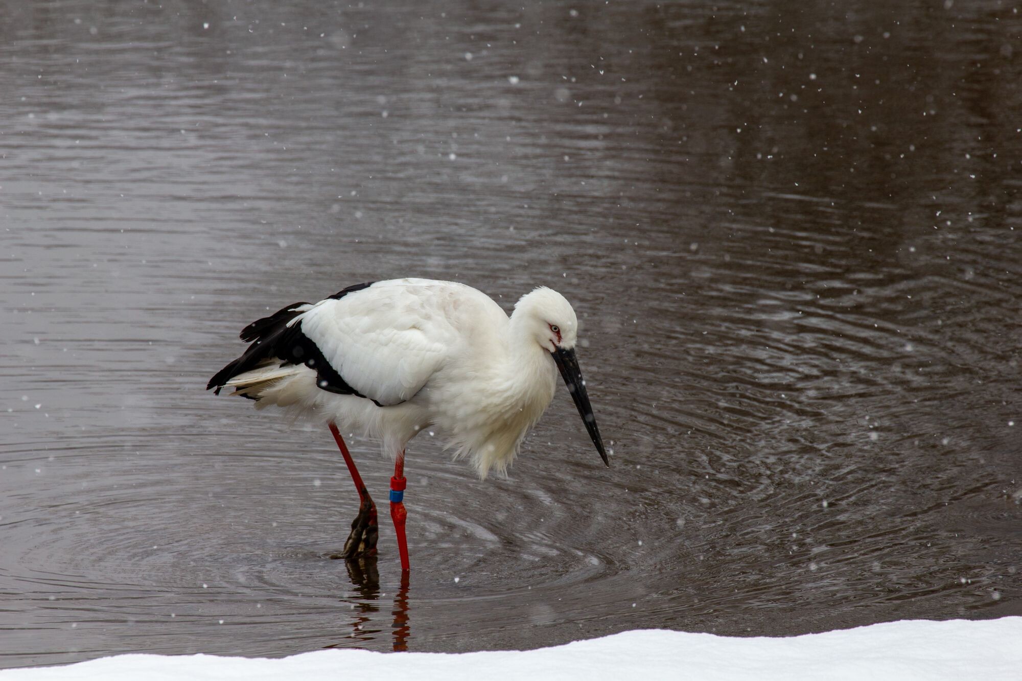 無計画に北近畿
