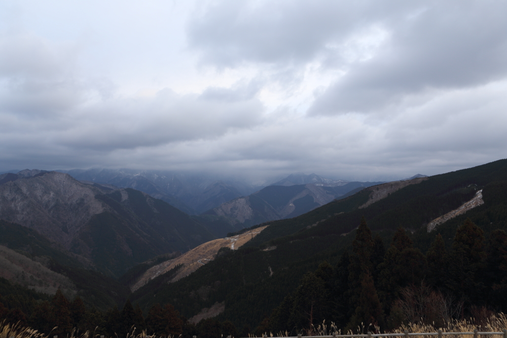 6Dを持ち出してみたけど