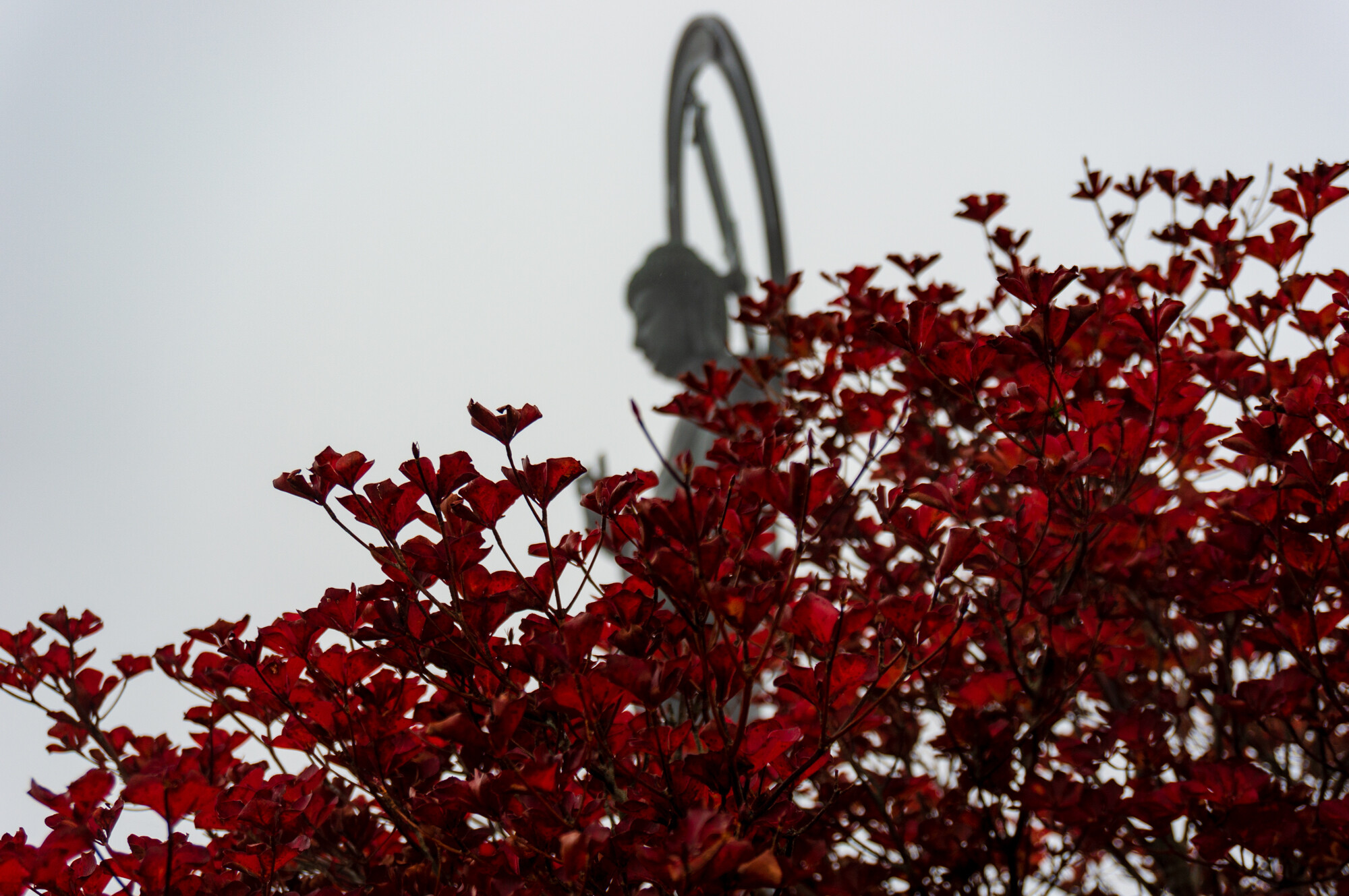 小雨降る秋の釈迦ヶ岳登山