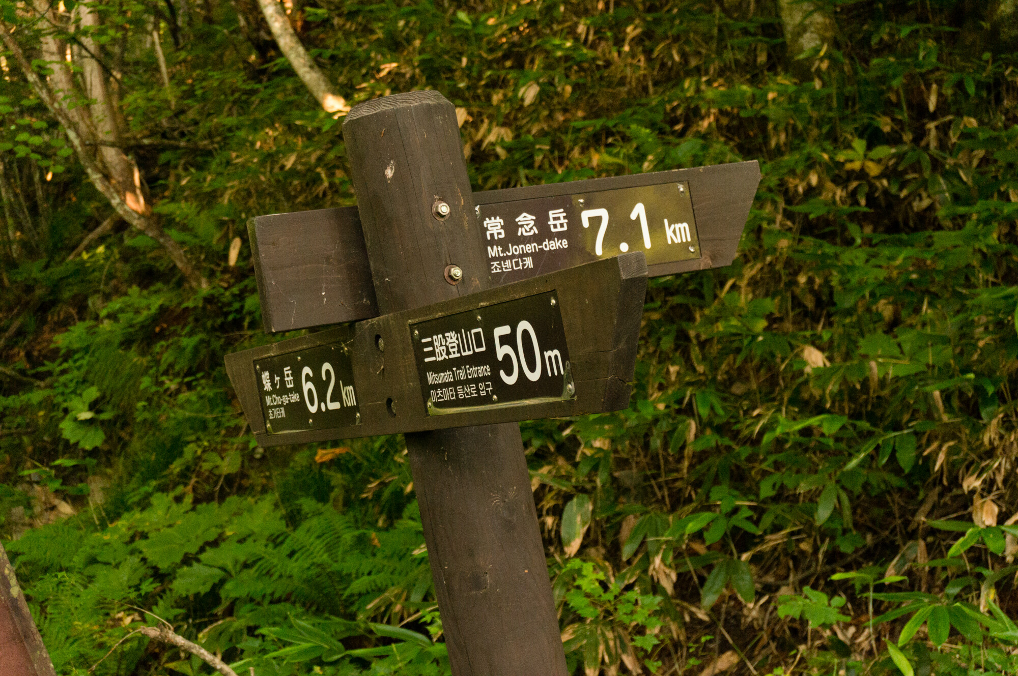 DSC05112