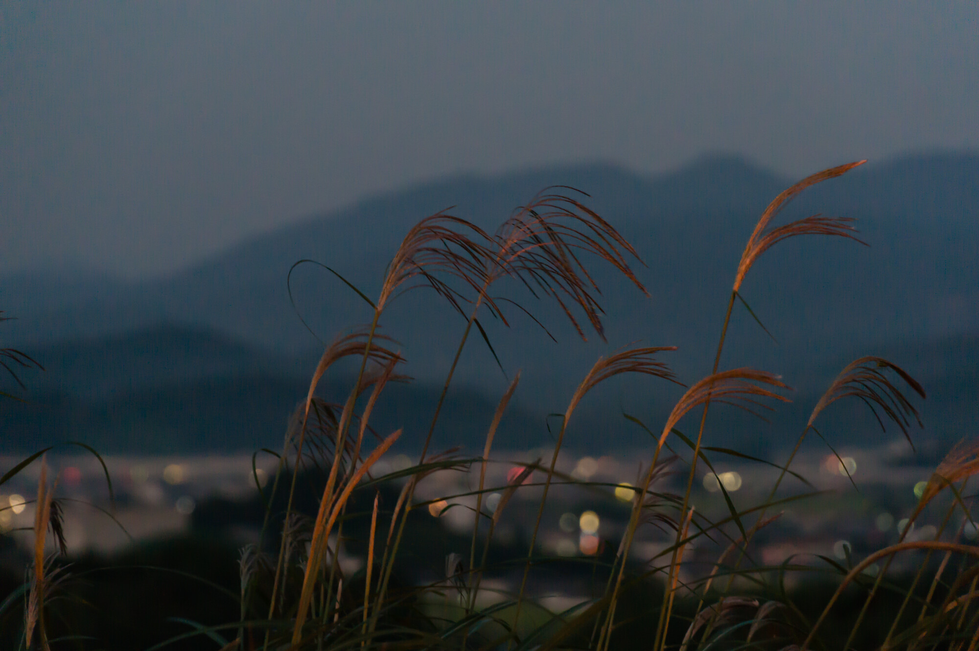 秋のスーパームーンを九品寺から堪能