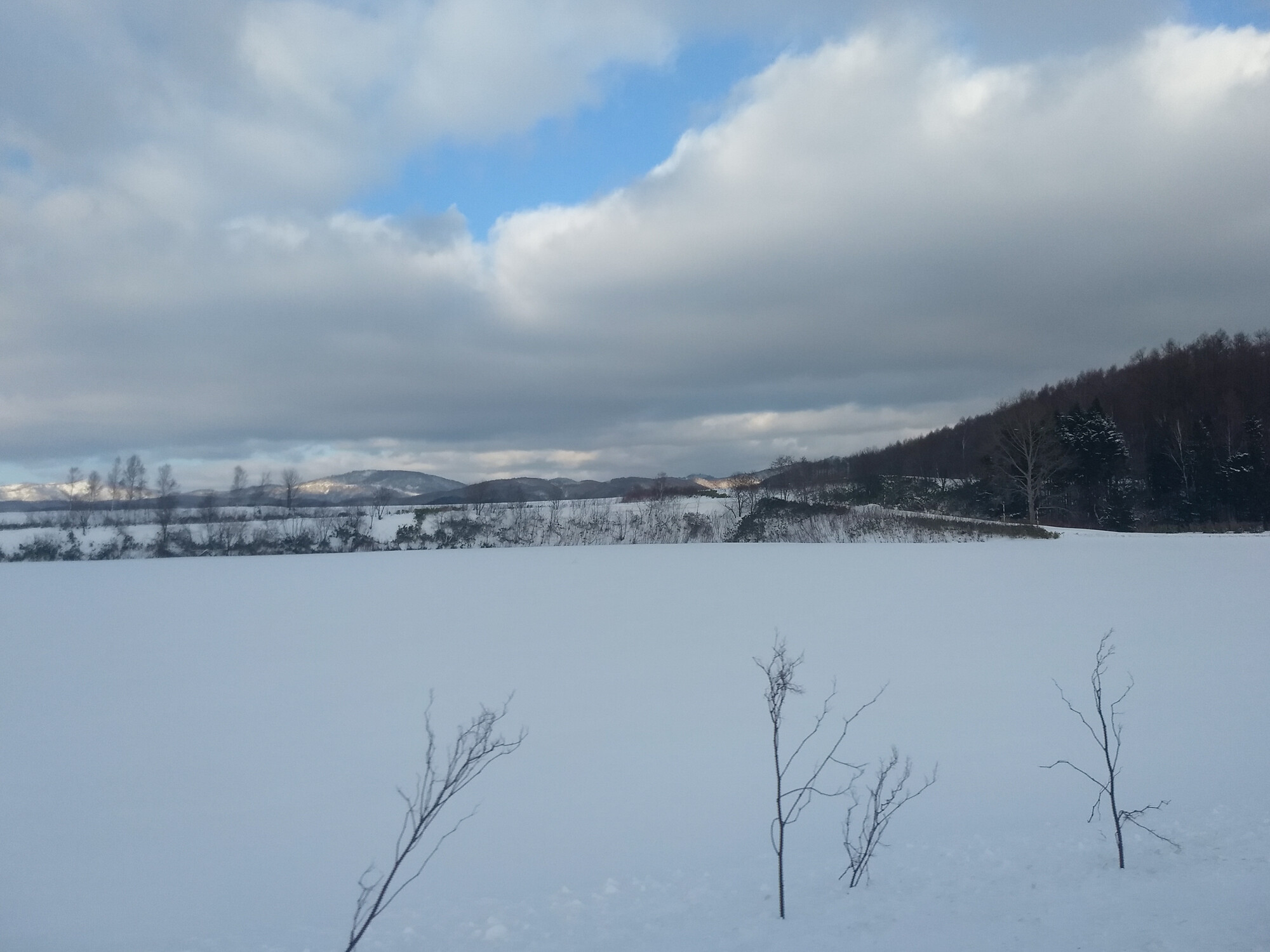 北海道で2019年の忘年会【2日目】