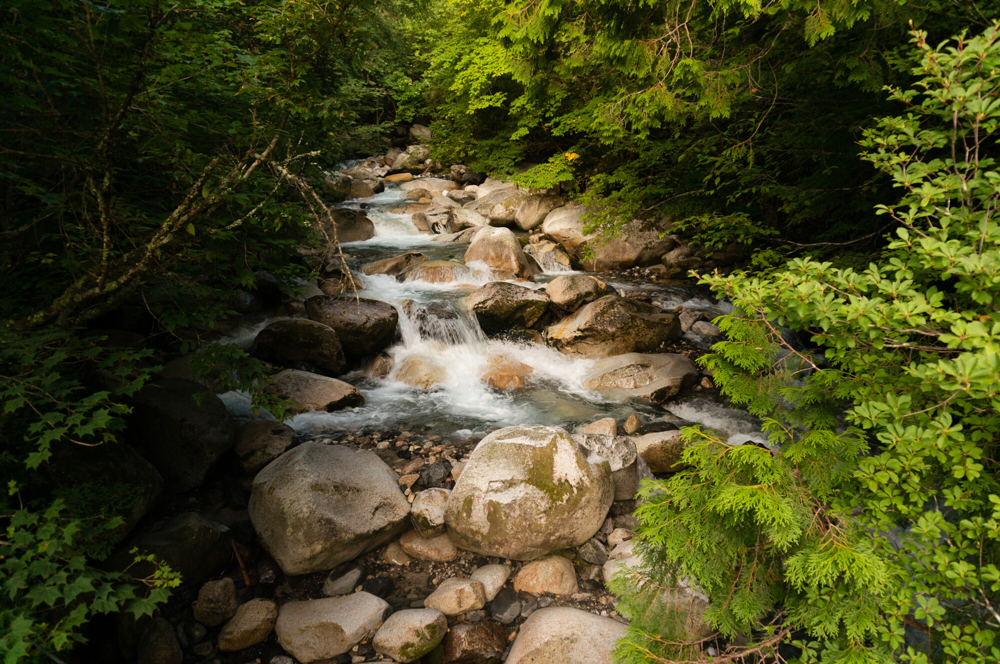 DSC05118
