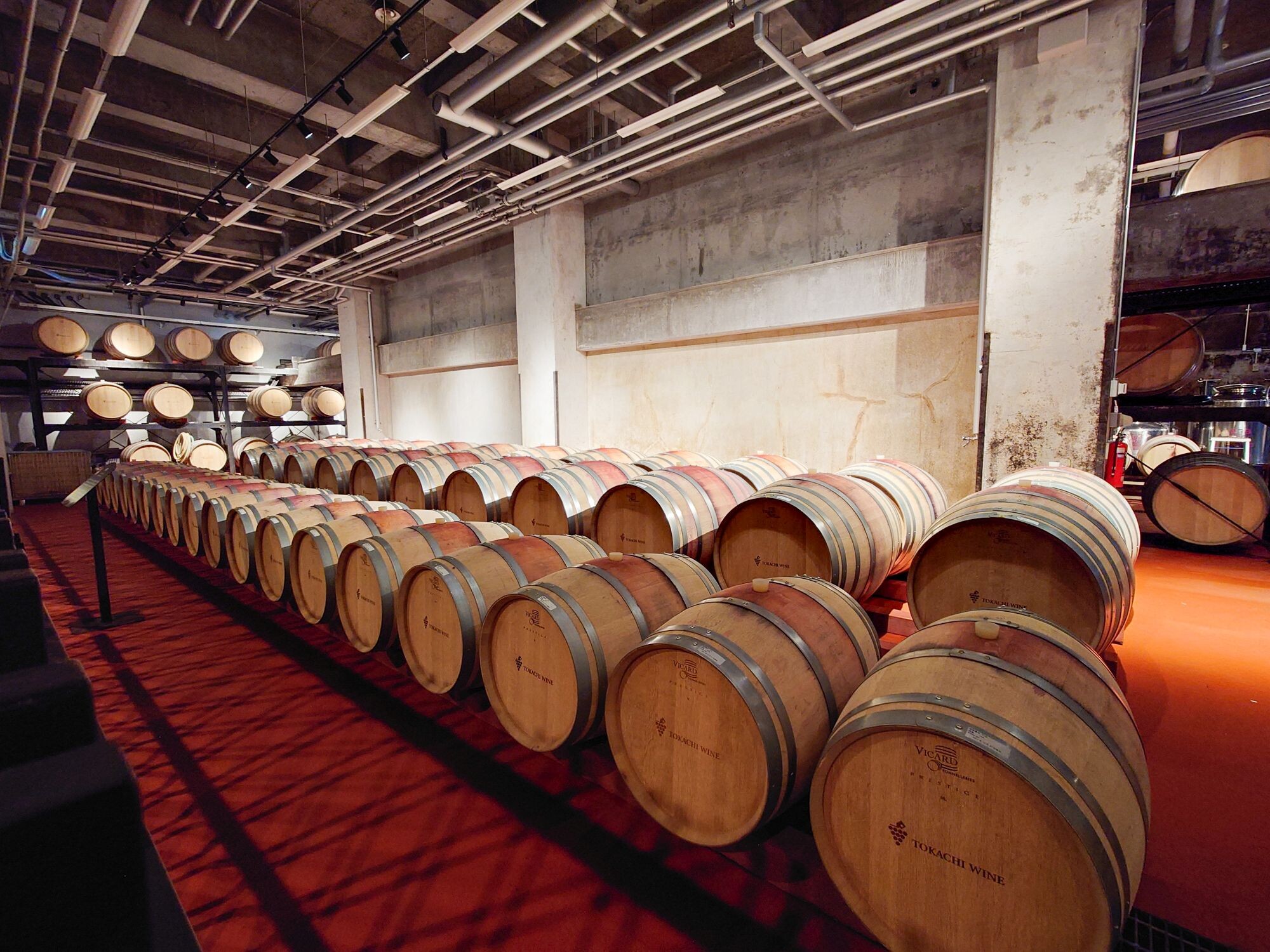 北海道スキーツアー2025【4日目】