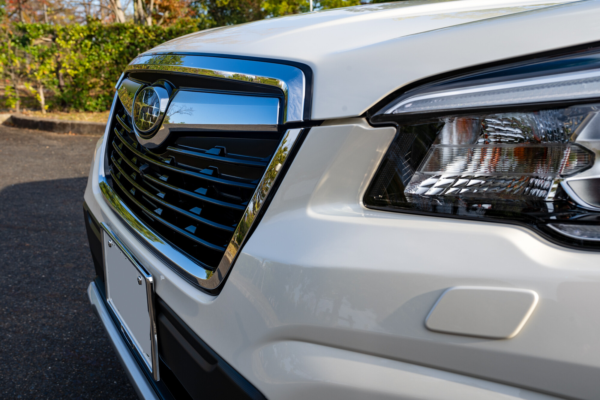 フォレスターいじり