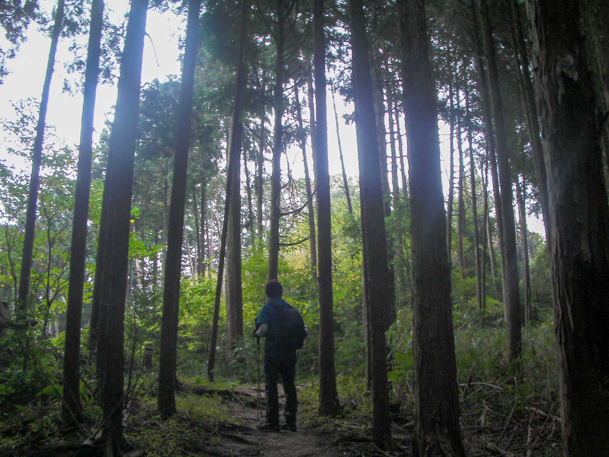 ダイトレ（2回目）