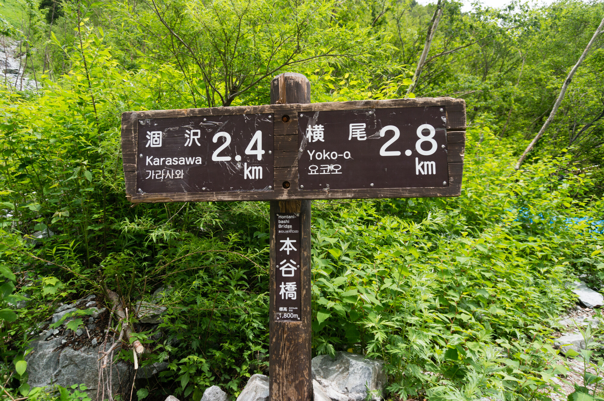 DSC07486