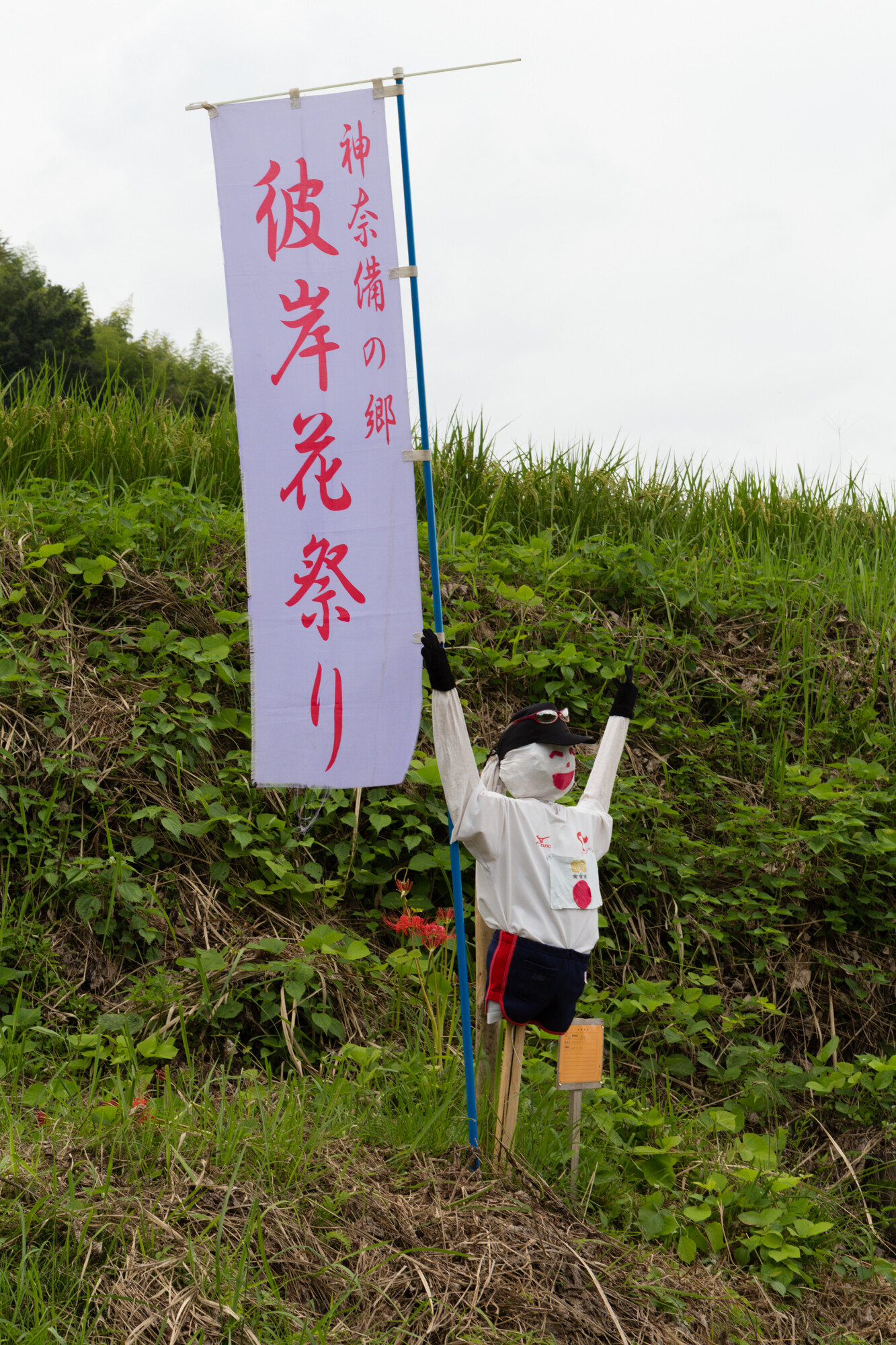 彼岸花祭り【2016】
