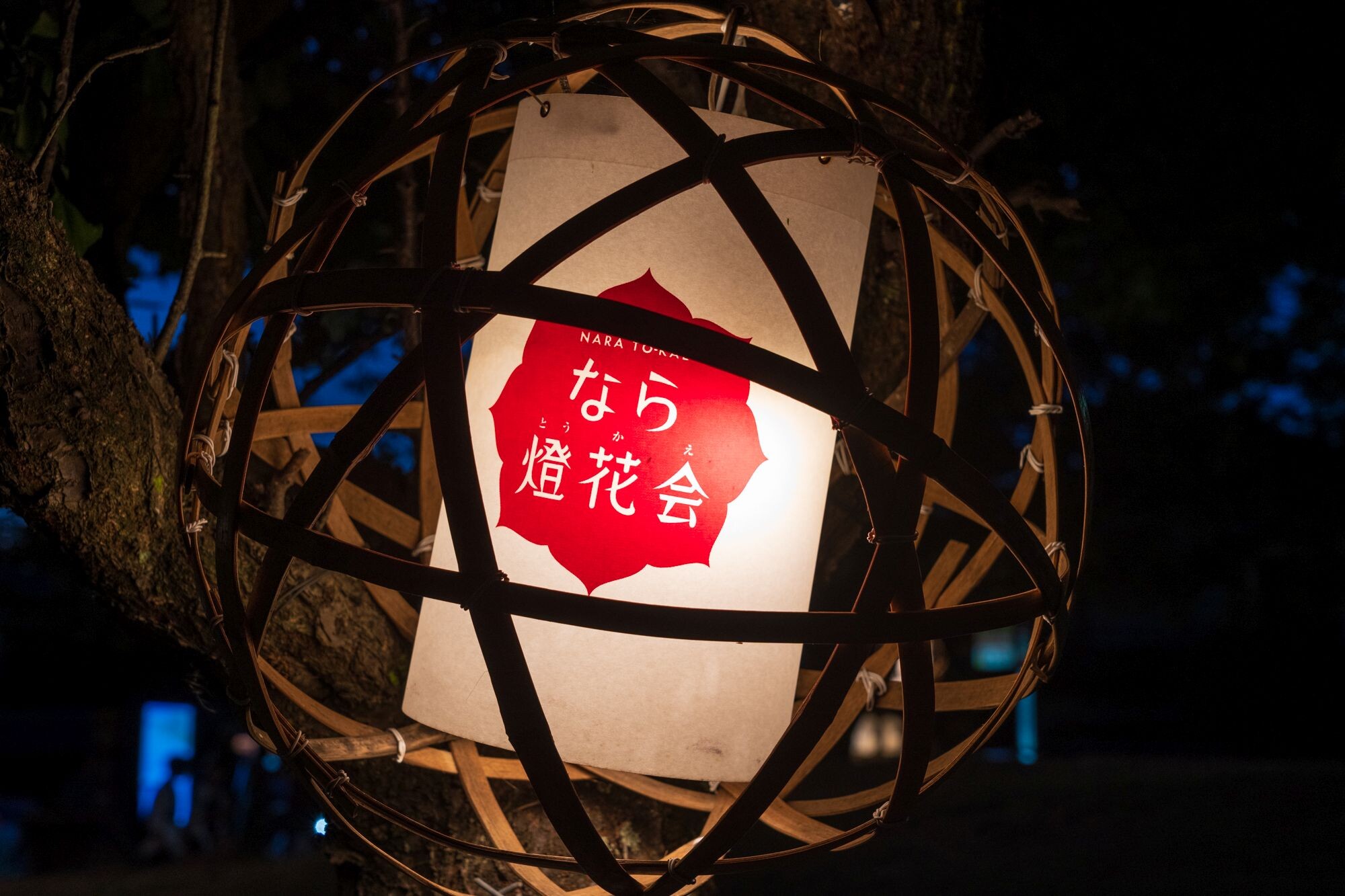 なら燈花会2024