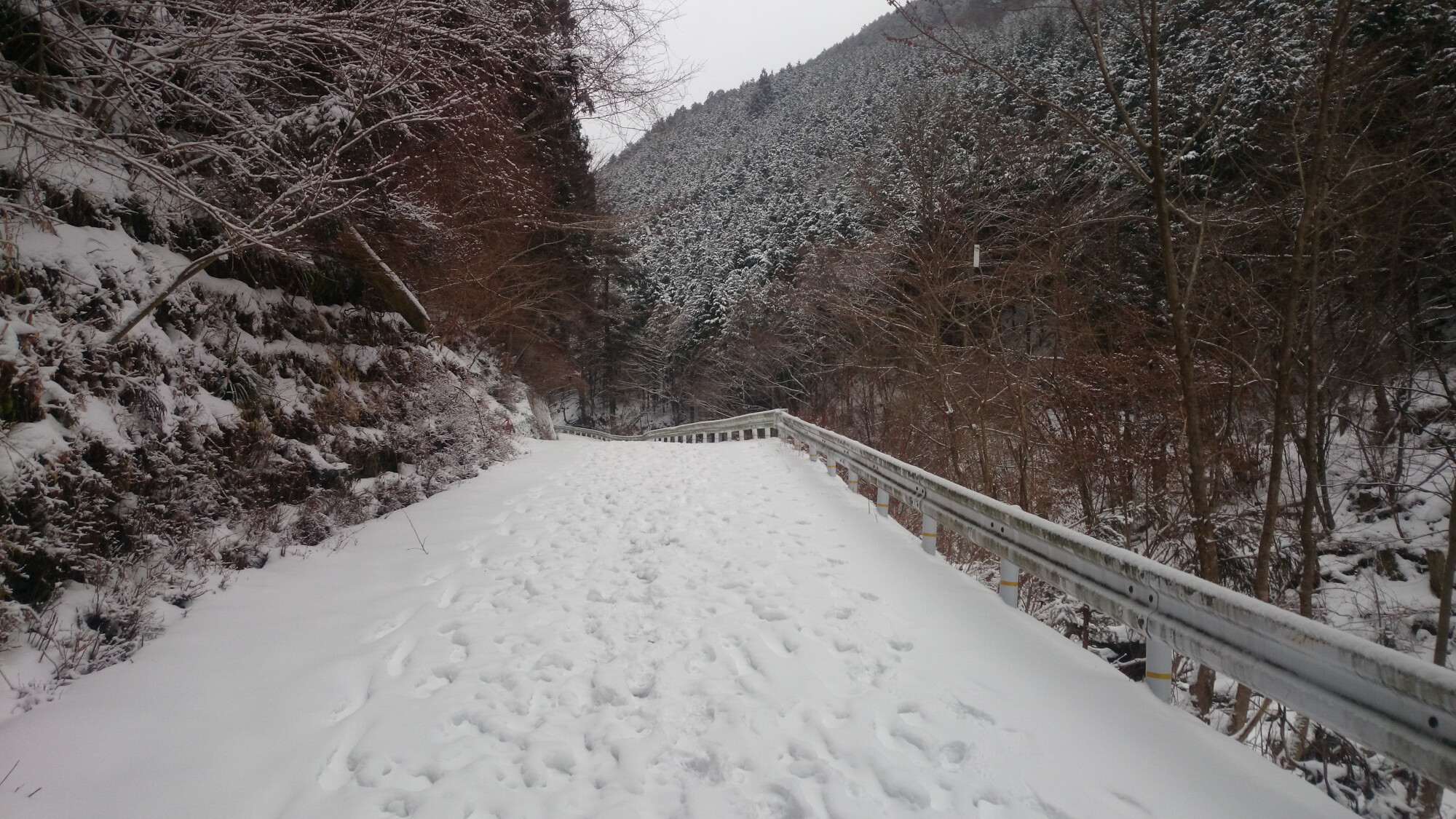 2014-02-09 08.12.21