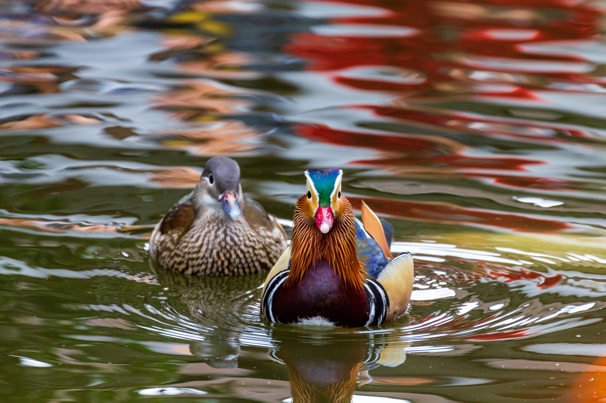 撮影放浪記 第3弾