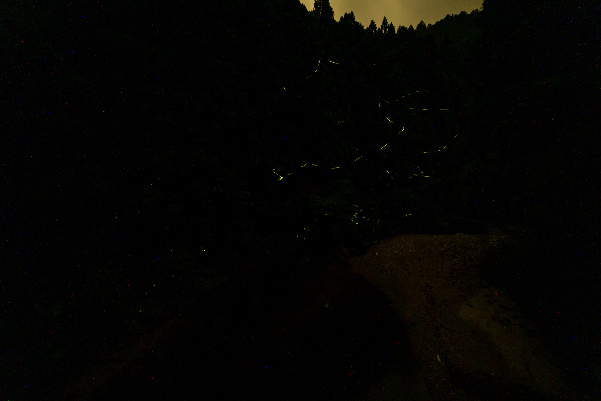 DSC02841