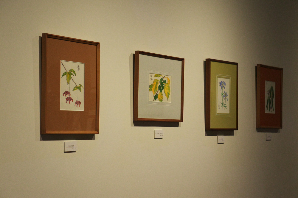 北海道スキーツアー2013【4日目】