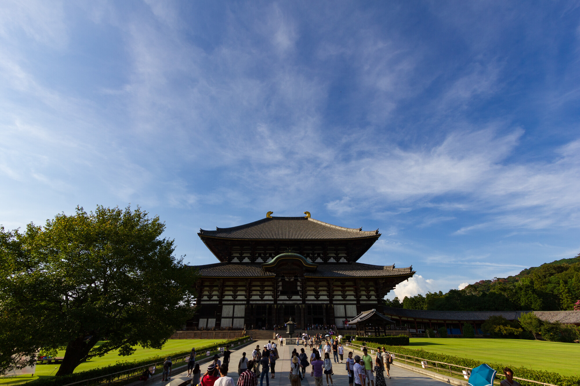 なら燈花会 2011