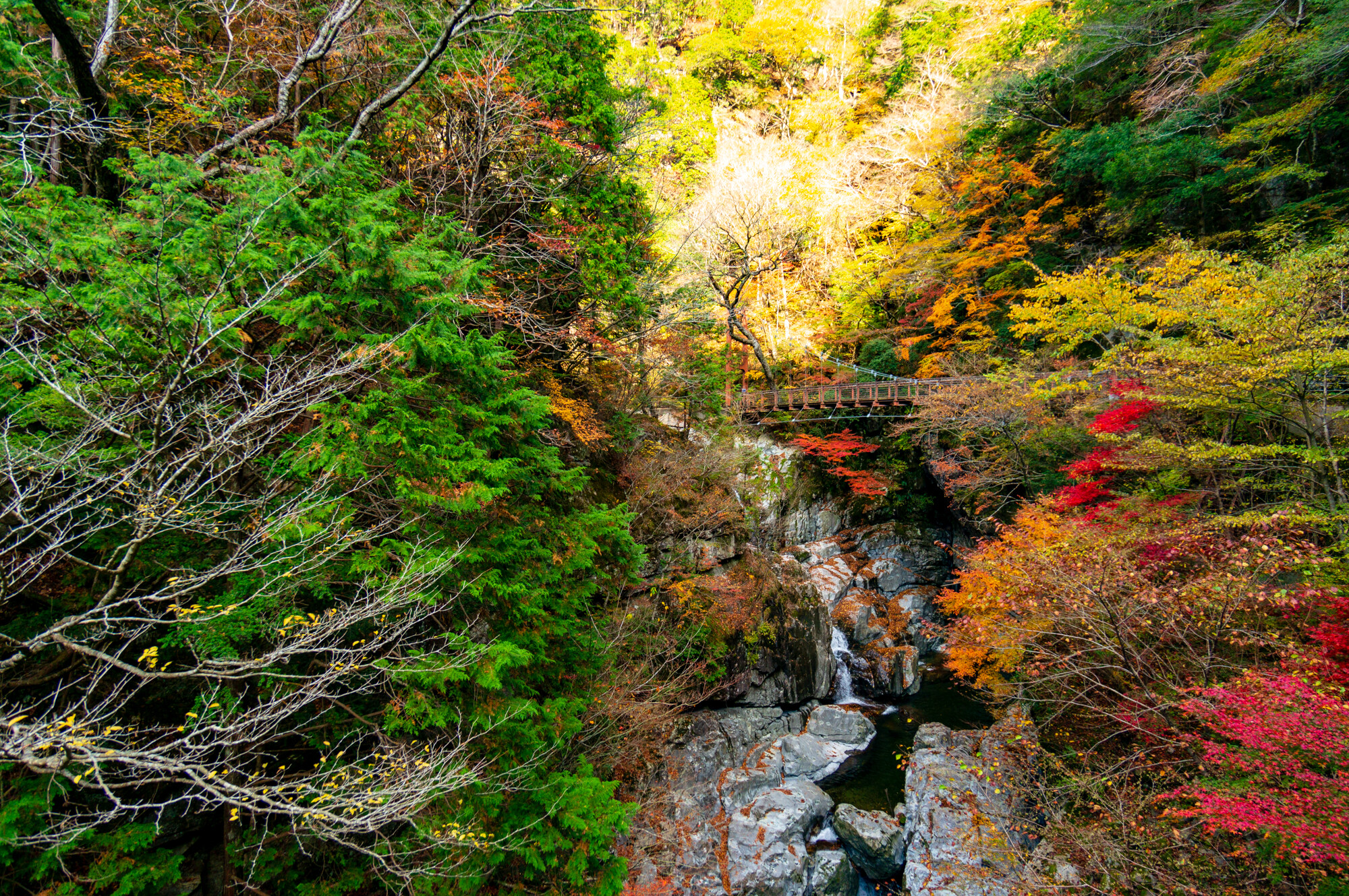 吉野と天川の紅葉 18 ニックの隠れ家