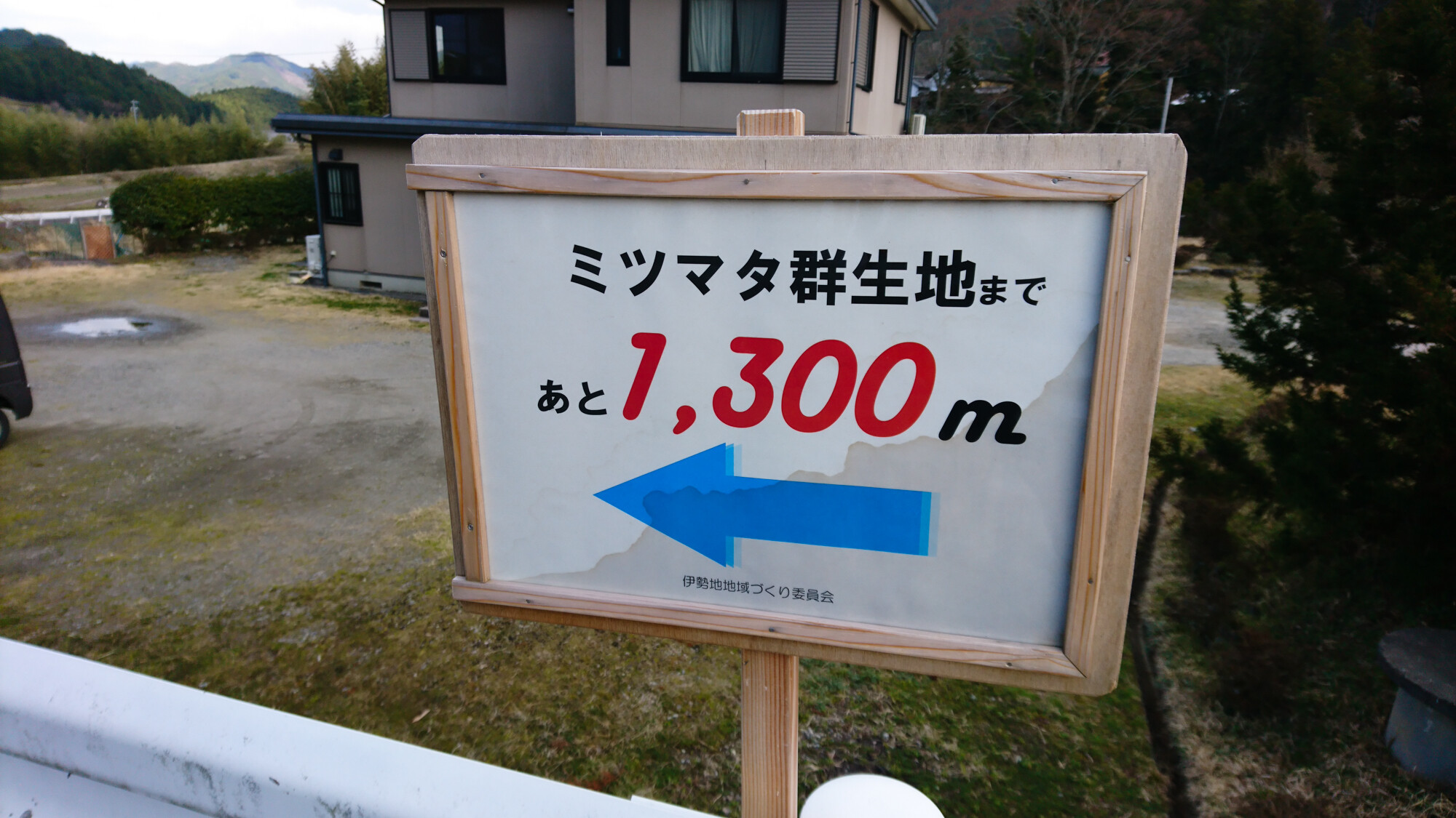2019-03-31 14.53.46