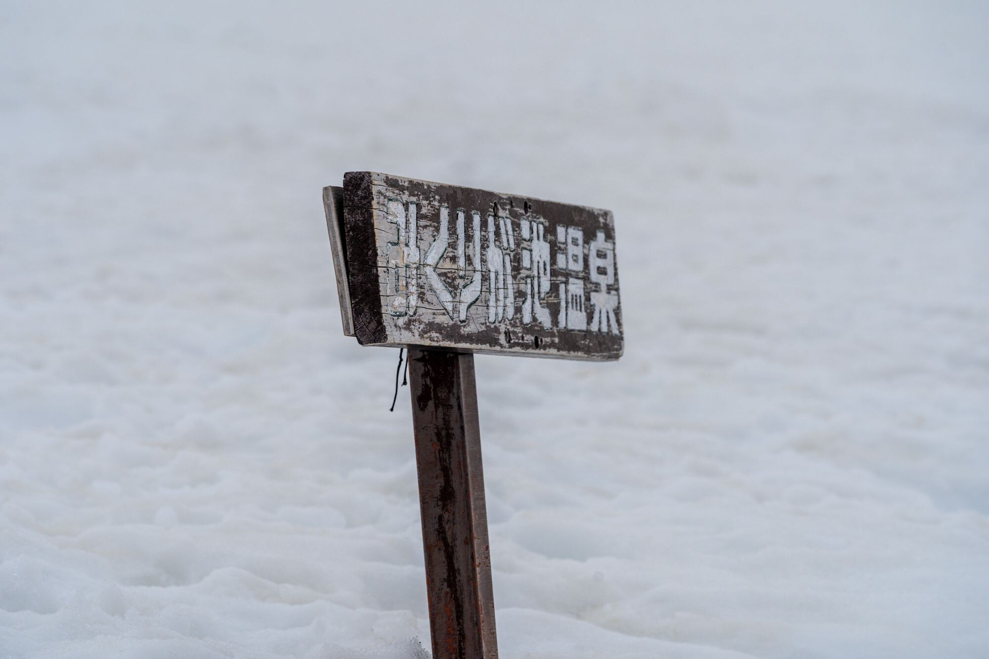 富山旅行2024 雪の大谷【2日目】