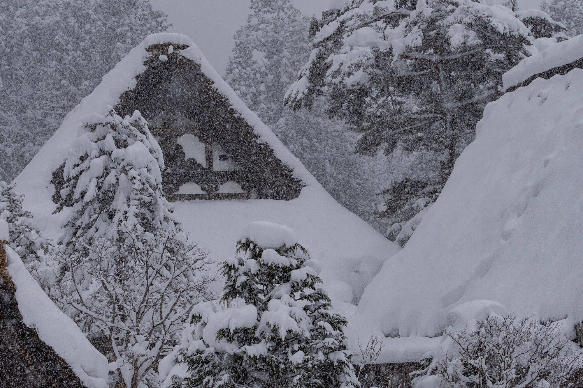 冬の白川郷旅行【1日目】
