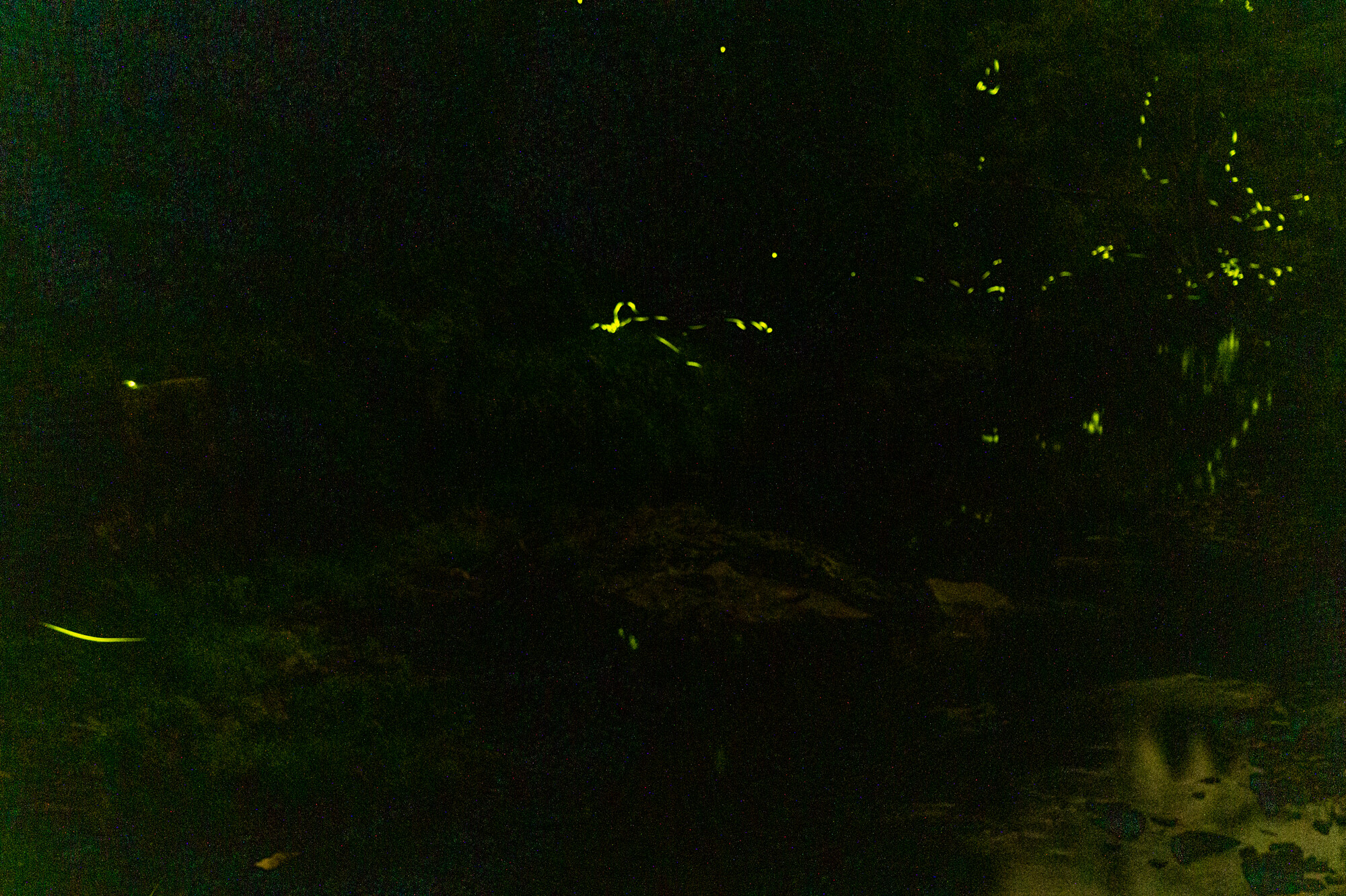 DSC02838