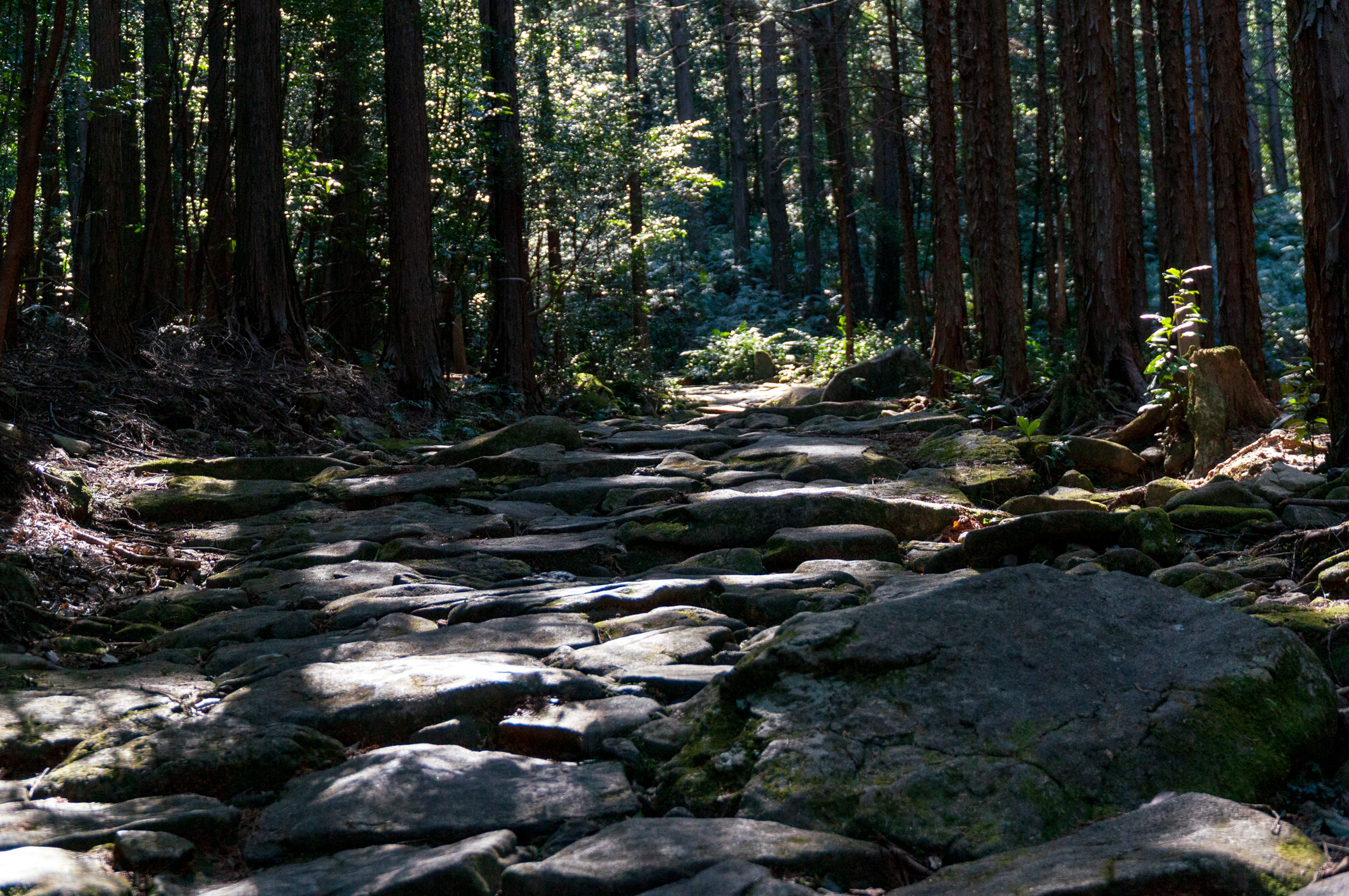 天狗倉山・便石山登山
