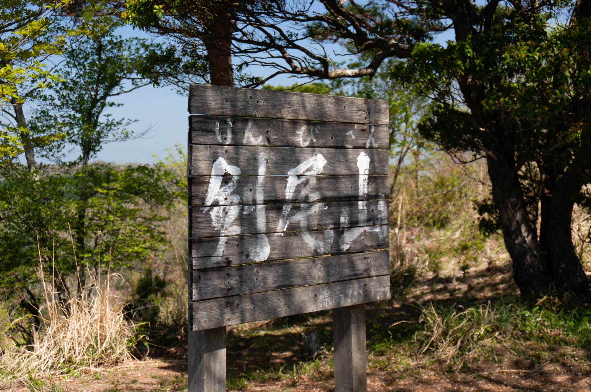 剣尾山・横尾山