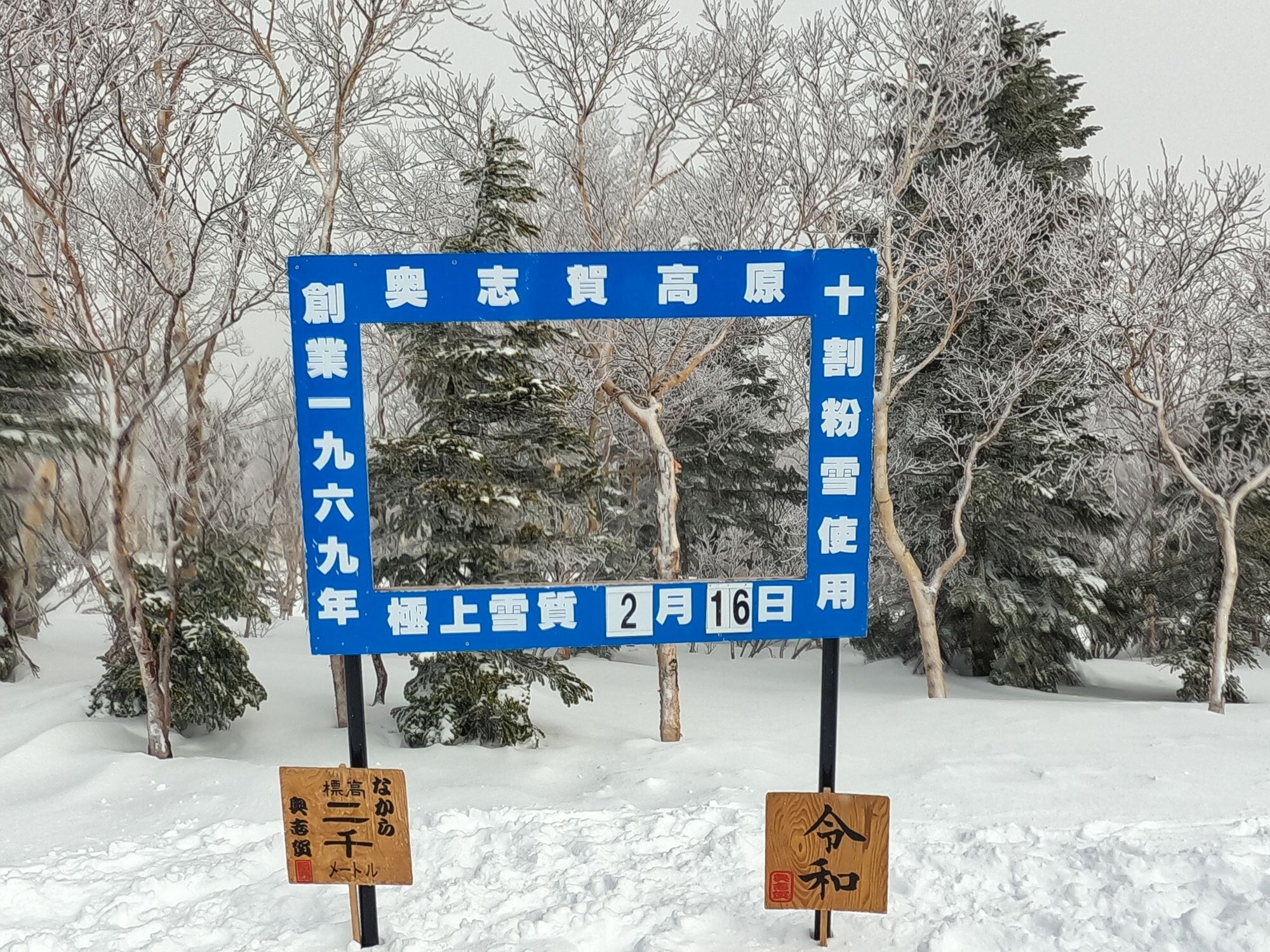 志賀高原スキーツアー2024【1日目】