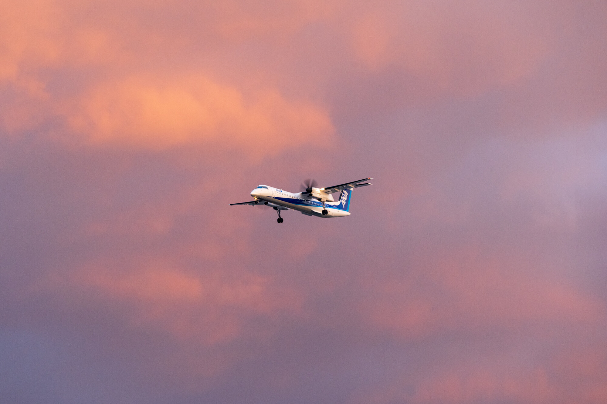 千里川土手で飛行機撮影