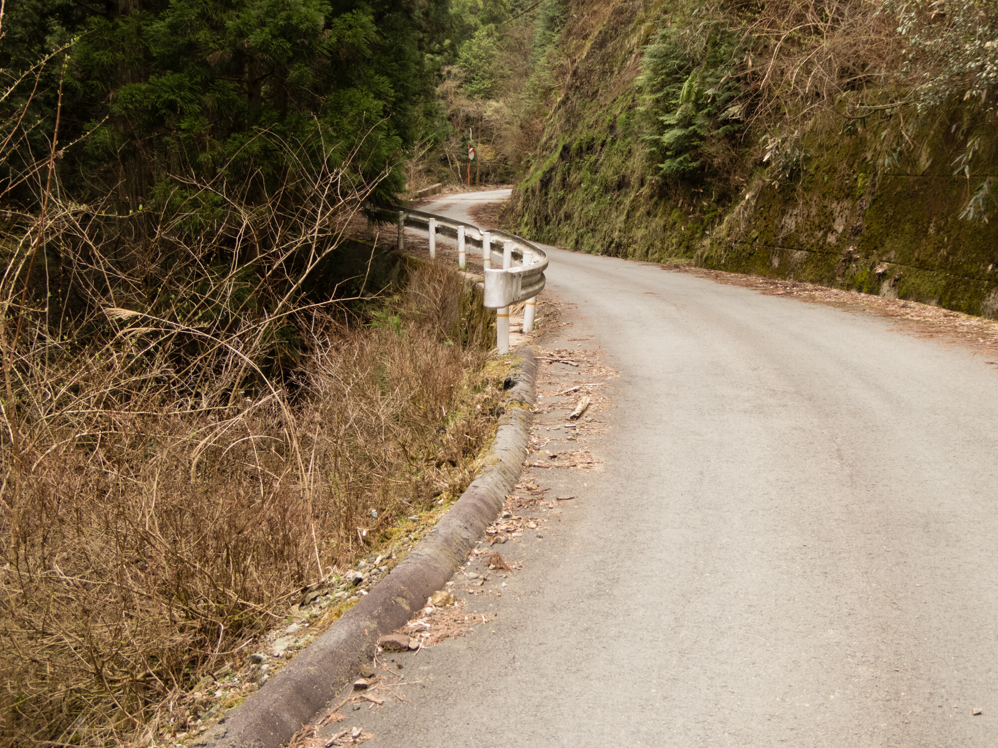 吉野・大峰林道（失敗編）