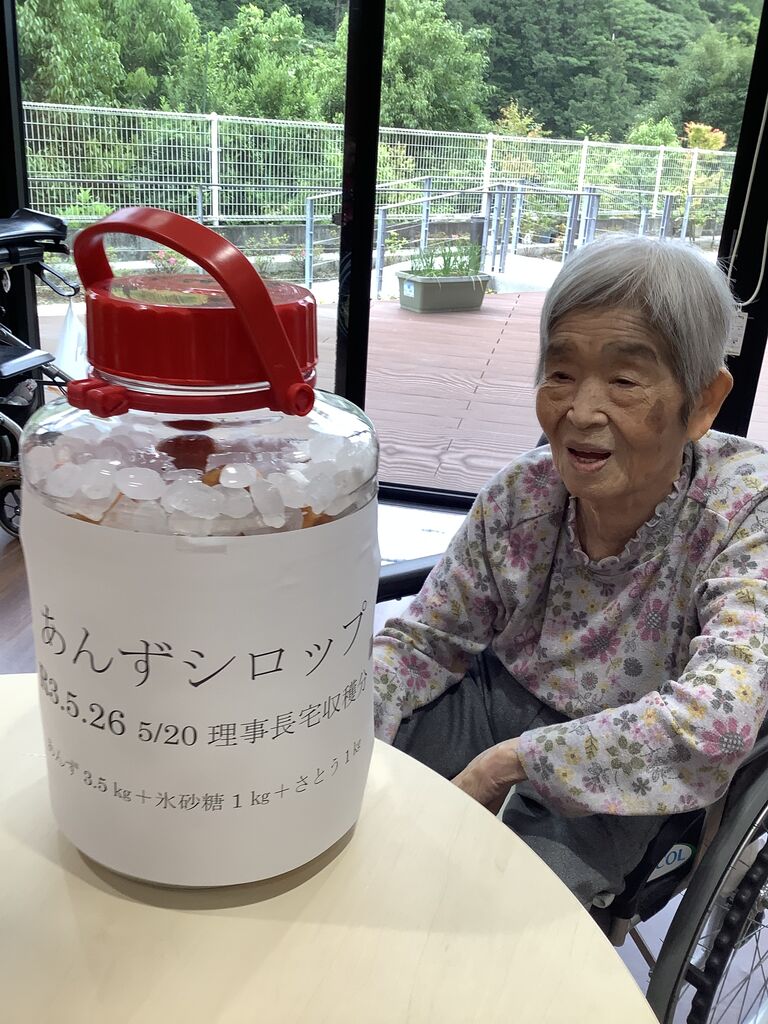 杏のシロップ漬け あぷりん日記 ナイスランド北方のブログ