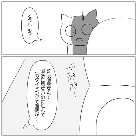 無題1155_20241001120802