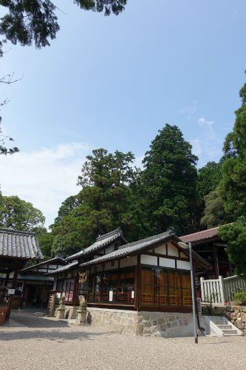 添御県坐神社 そうのみあがたにいます じんじゃ と和スイーツ 日常の中のスピリチュアル 添御県坐神社 そうのみあがたにいます じんじゃ と和スイーツ 日常の中のスピリチュアル