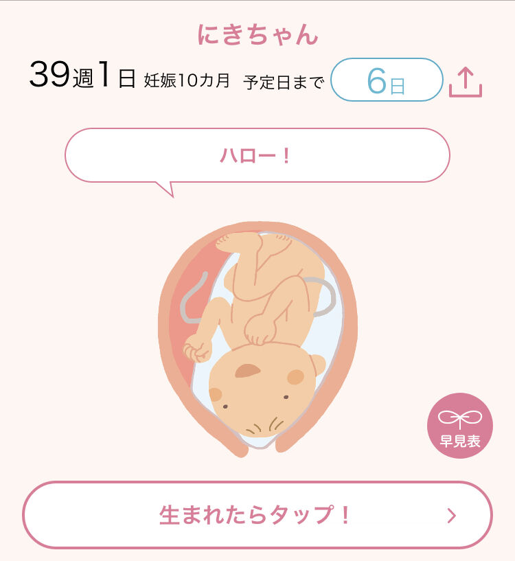 ハッピーセットで絵本をもらうの巻 Nici De Marie ジャカルタ2人暮らし主婦生活 ハッピーセットで絵本をもらうの巻 Nici De Marie ジャカルタ2人暮らし主婦生活