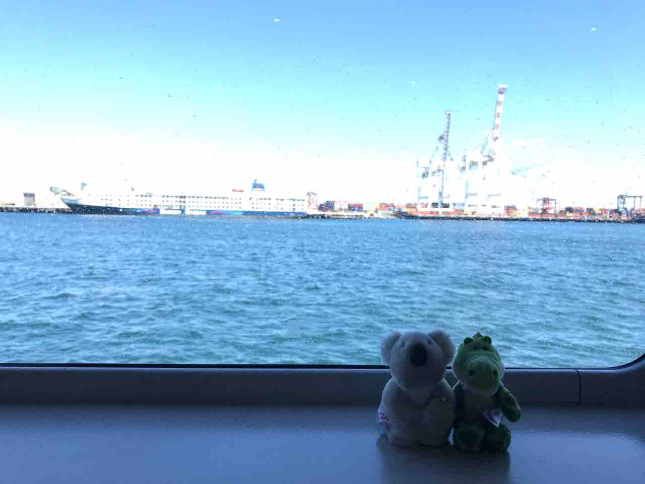 可愛すぎるクオッカにメロメロの巻 Nici De Marie ジャカルタ2人暮らし主婦生活 可愛すぎるクオッカにメロメロの巻 Nici De Marie ジャカルタ2人暮らし主婦生活