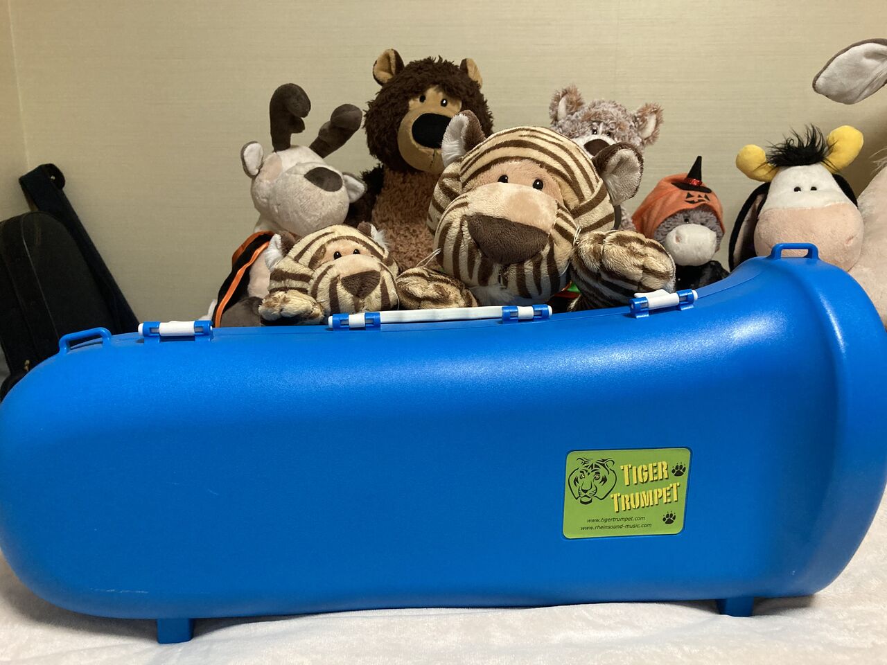 メルカリでトラトランペットを買うの巻 Nici De Marie ジャカルタ２人暮らし主婦生活